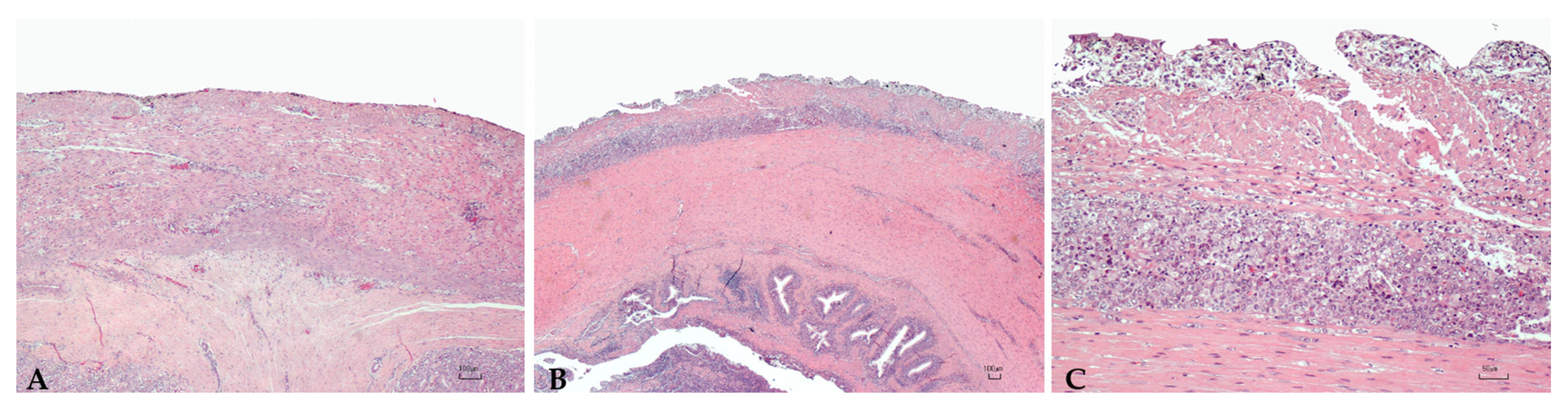 Microorganisms 10 00883 g003