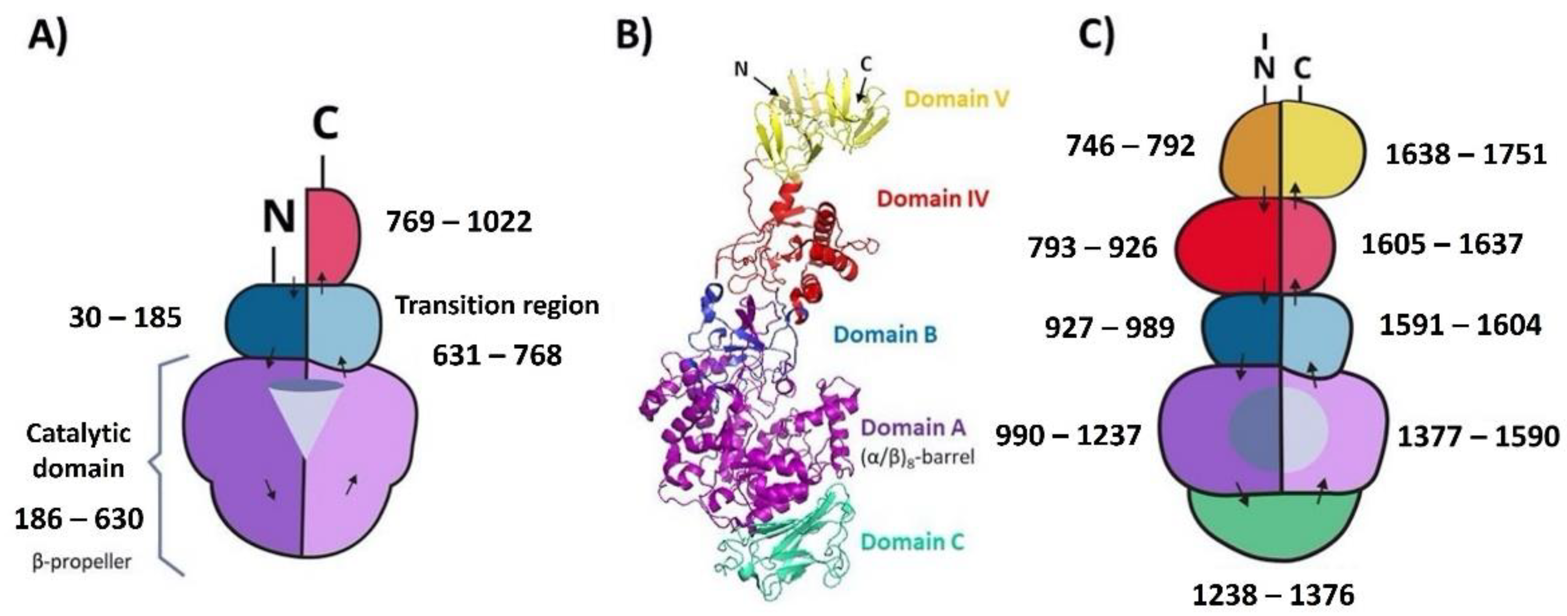 Microorganisms 10 00889 g006