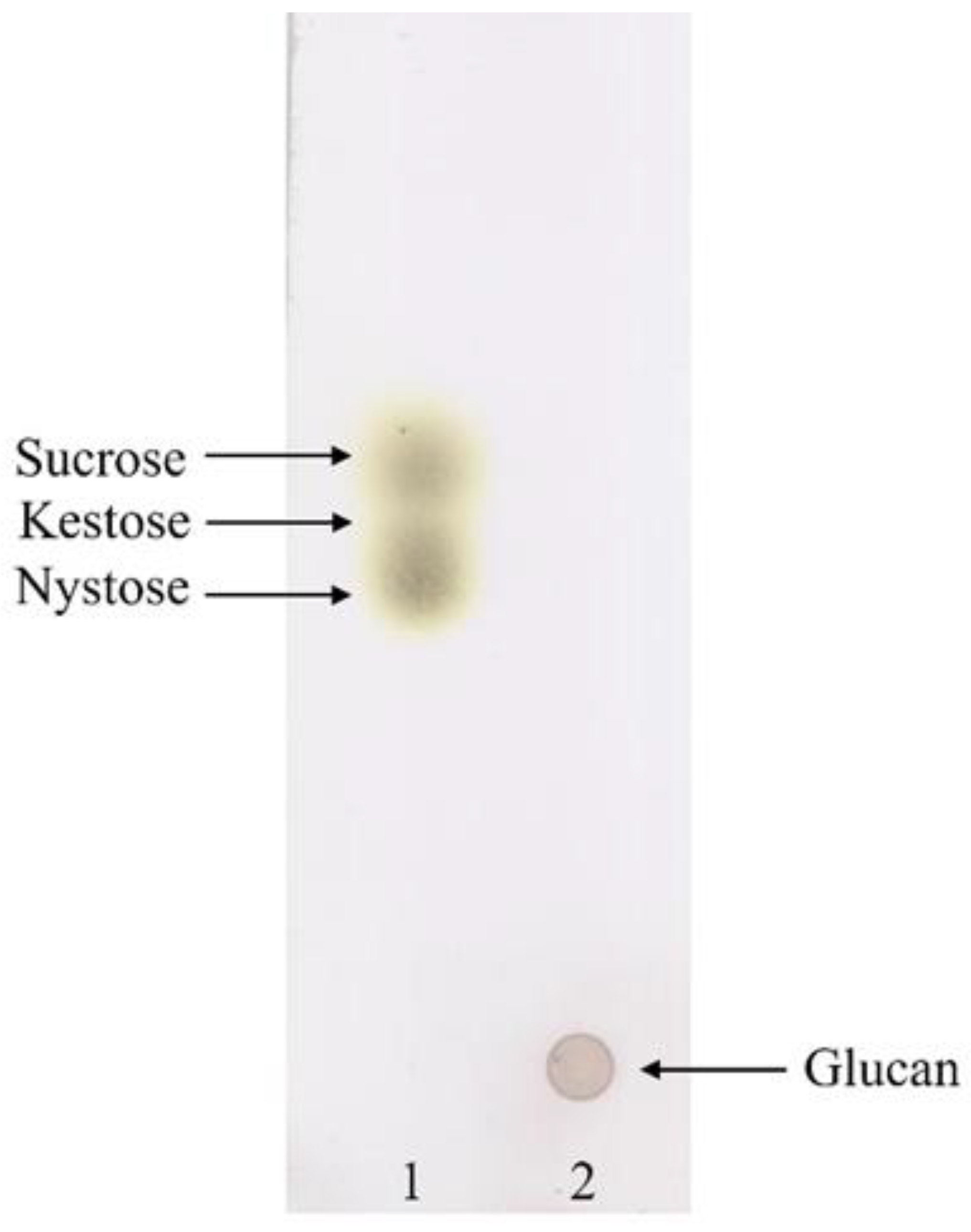 Microorganisms 10 00904 g001