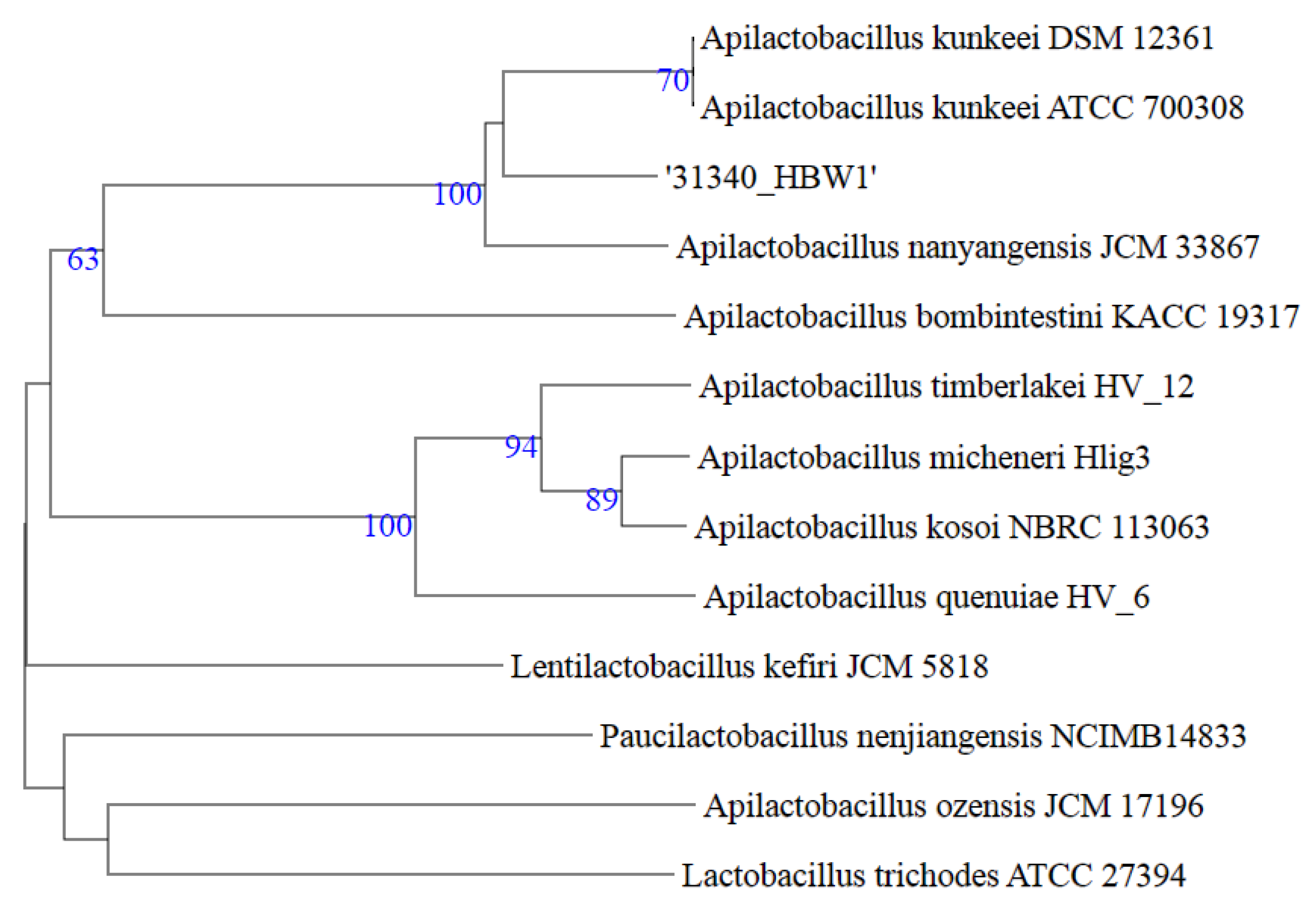 Microorganisms 10 00904 g003