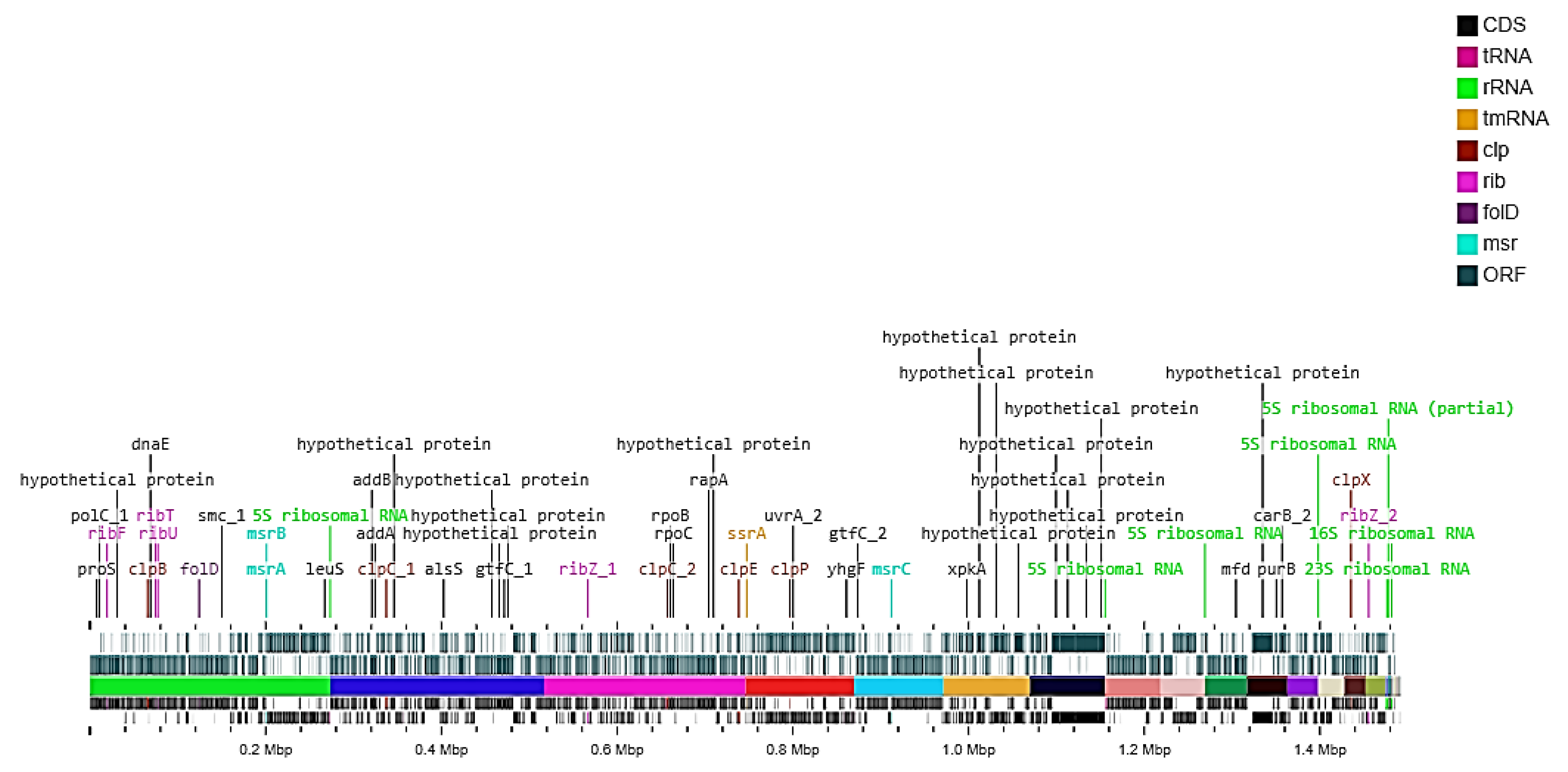 Microorganisms 10 00904 g005