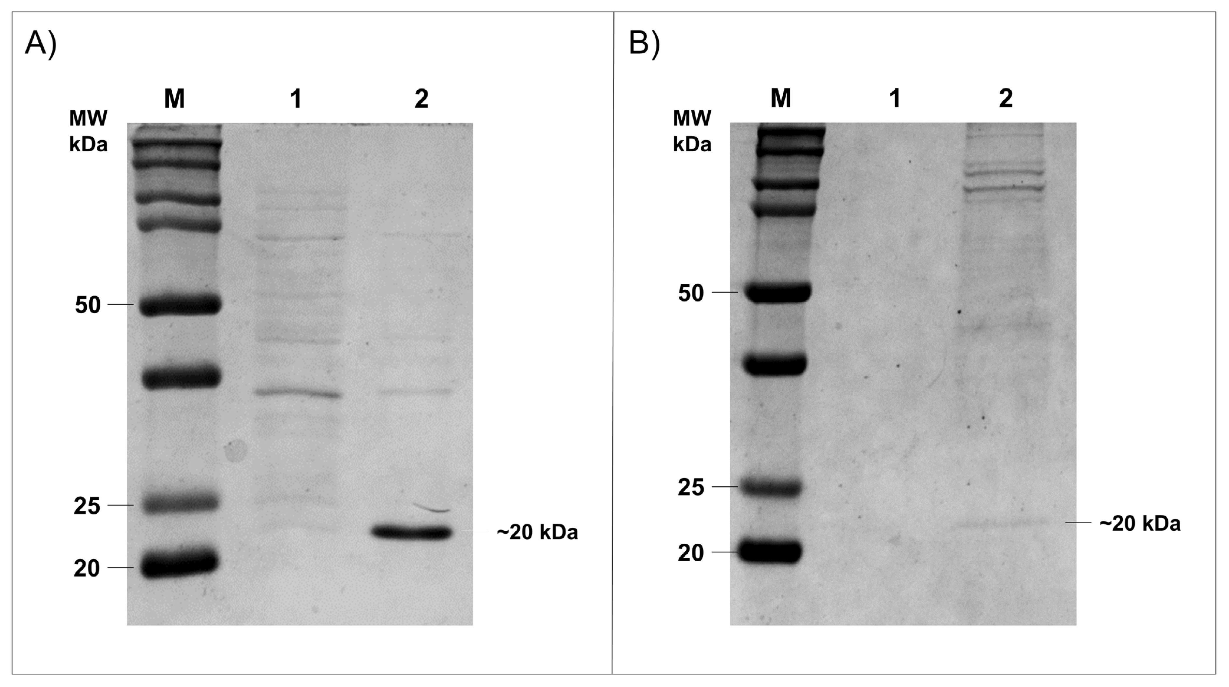 Microorganisms 10 00906 g004
