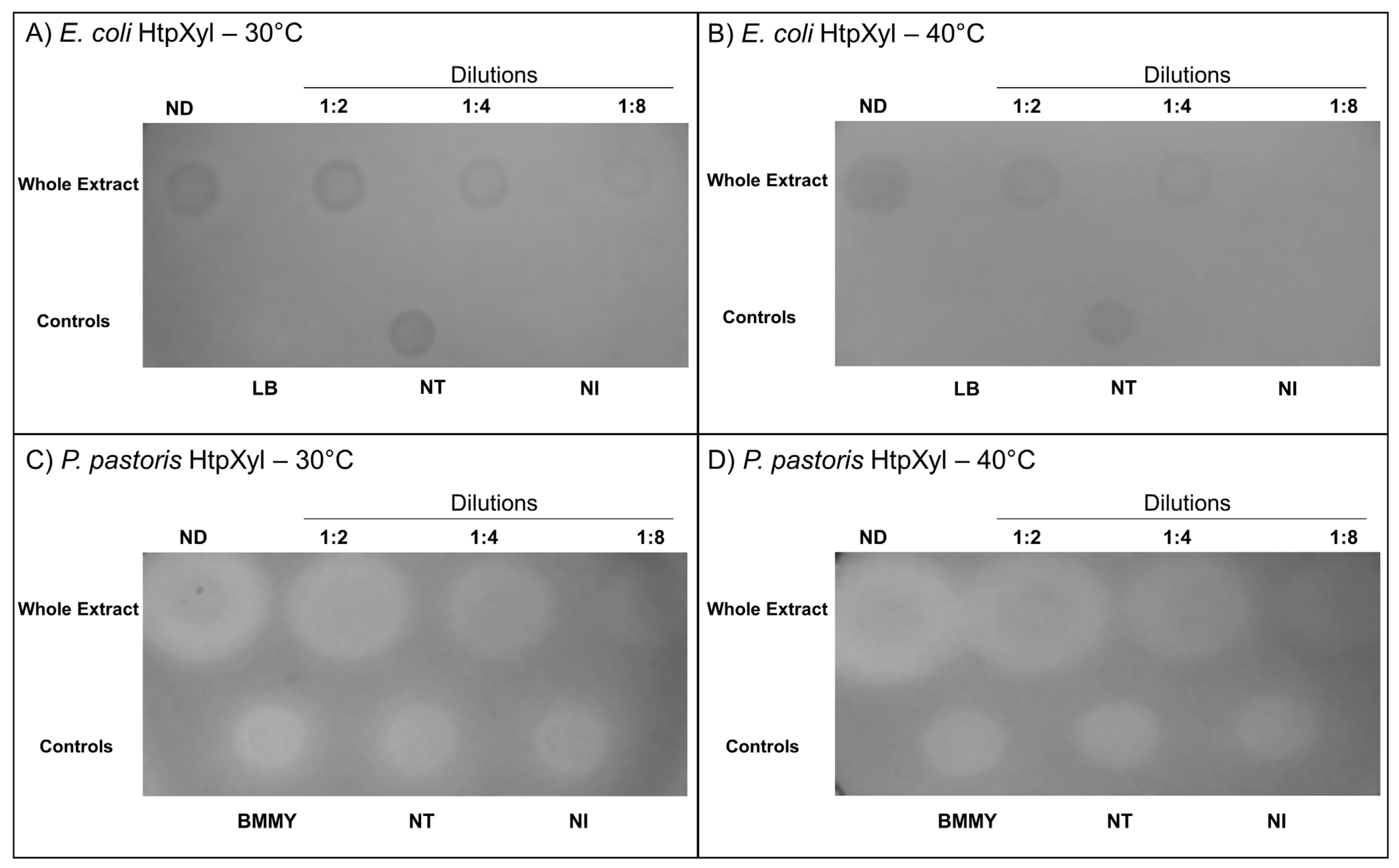Microorganisms 10 00906 g005