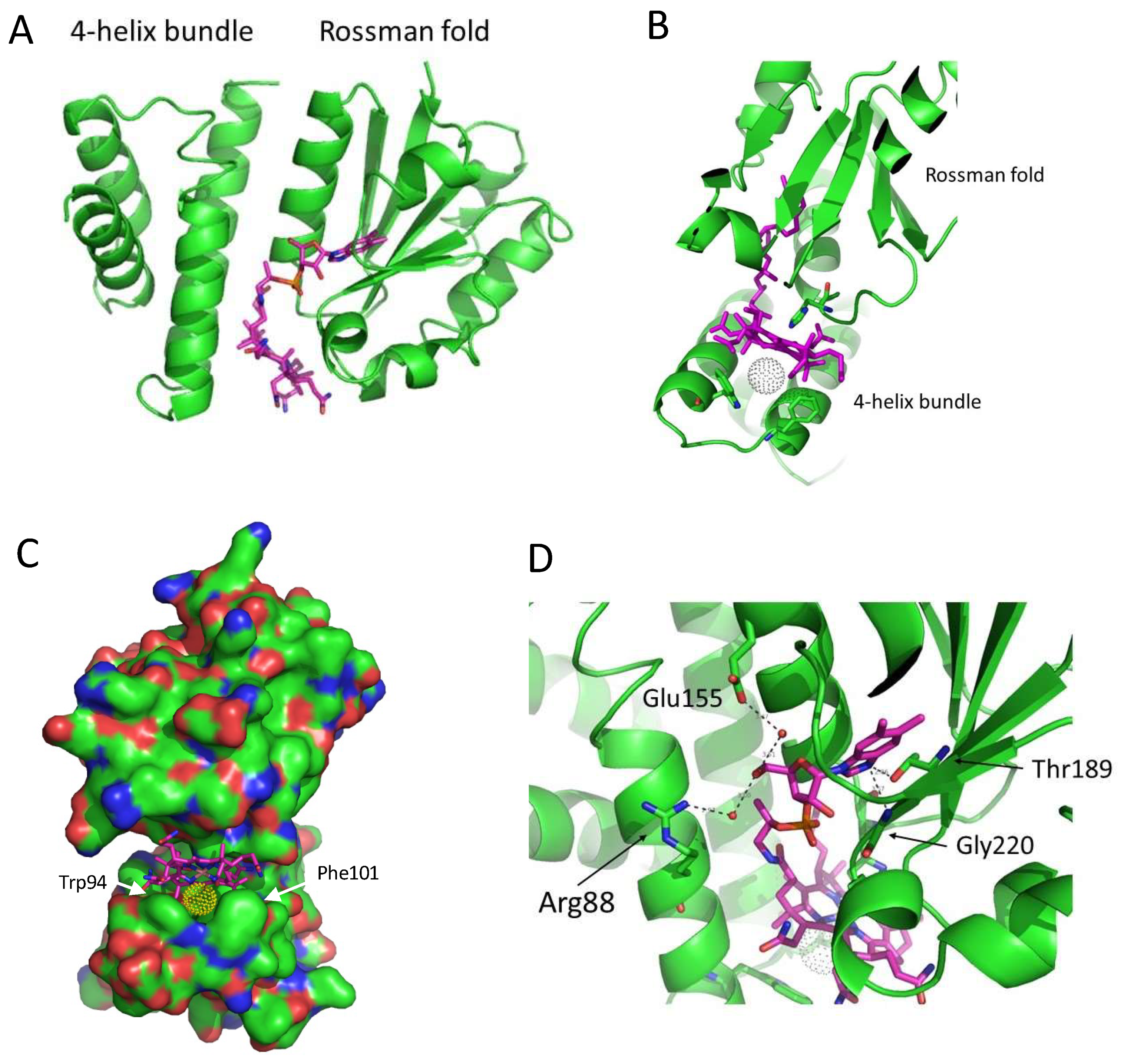 Microorganisms 10 00912 g002