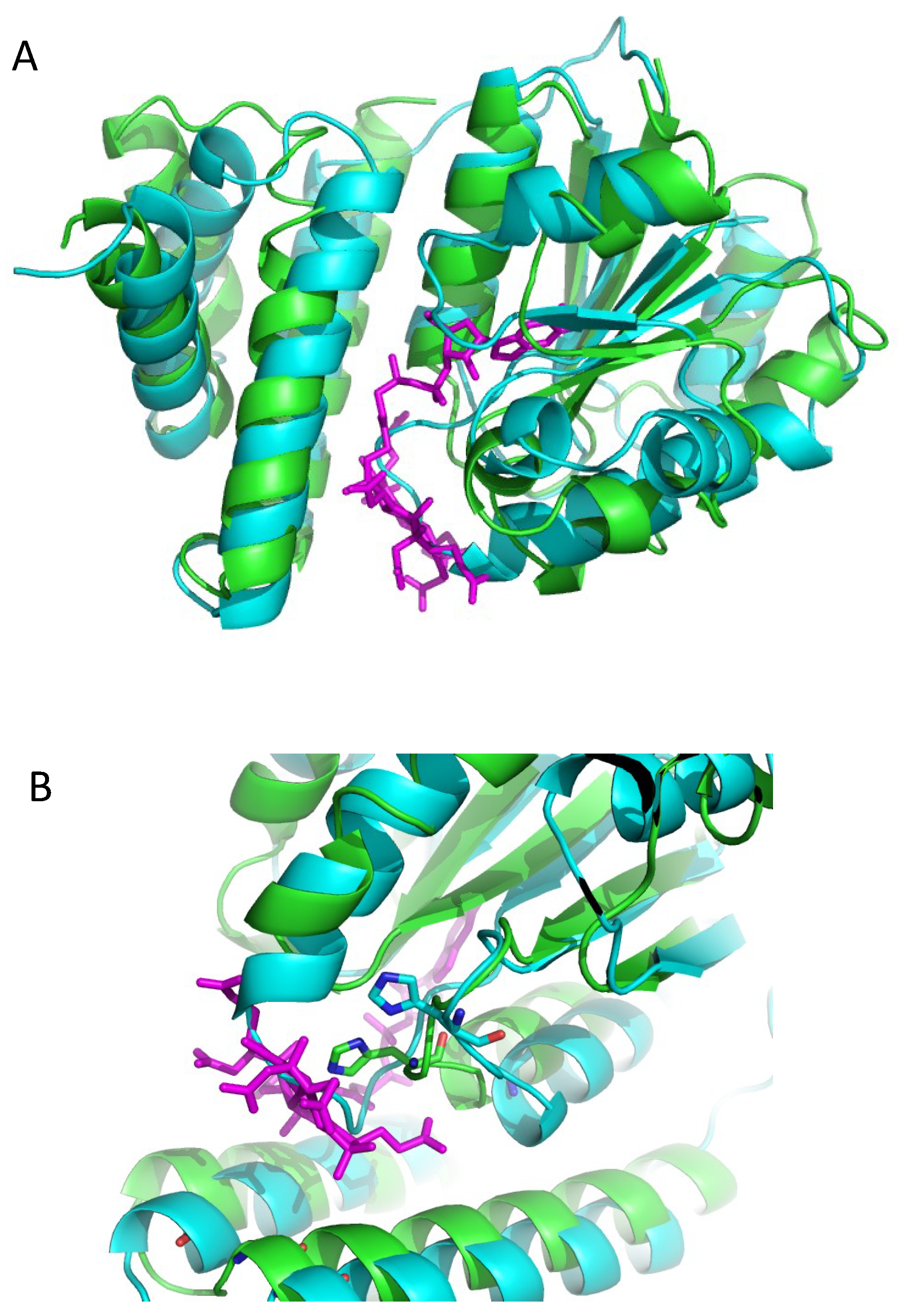 Microorganisms 10 00912 g003