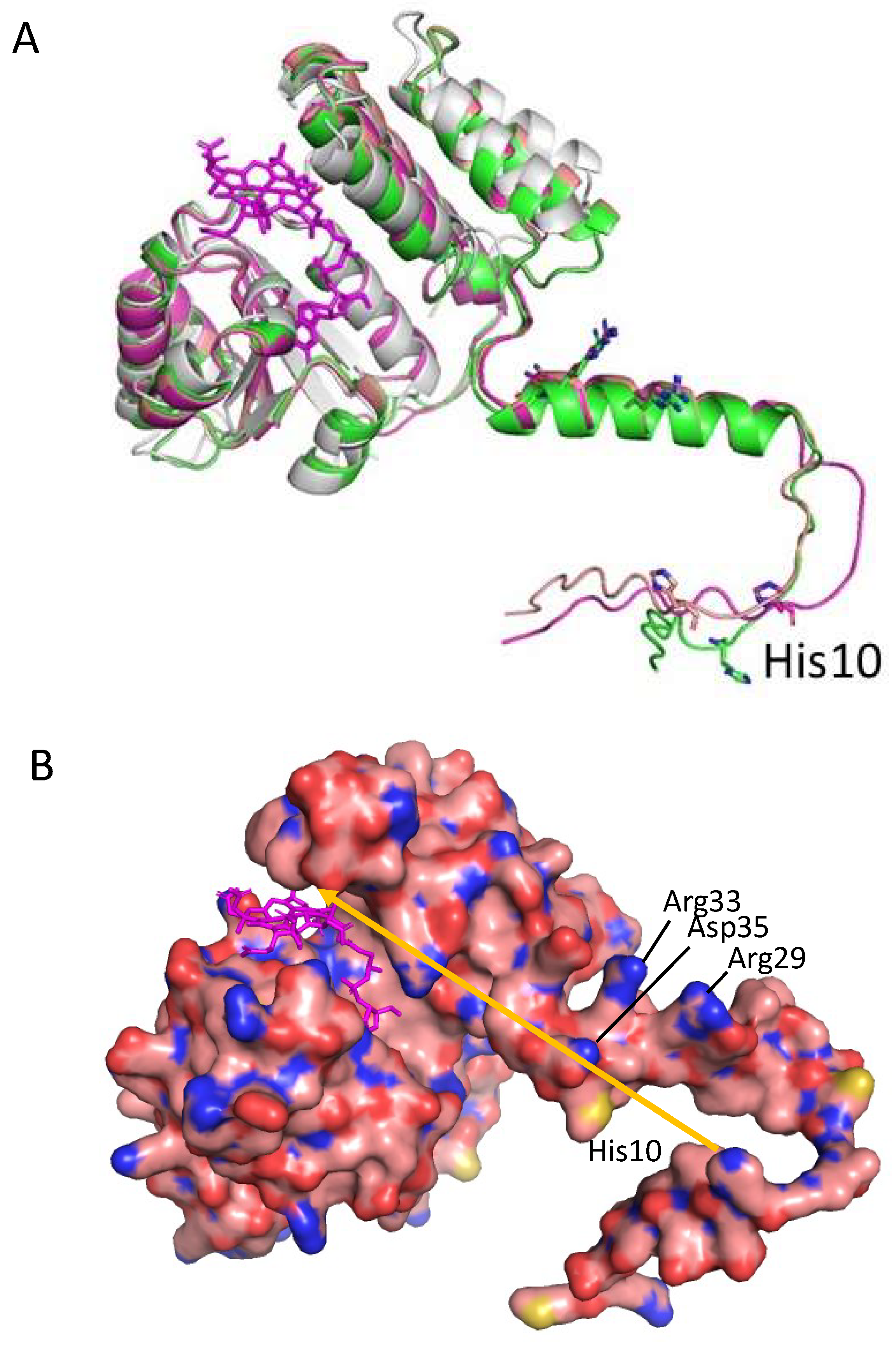 Microorganisms 10 00912 g004
