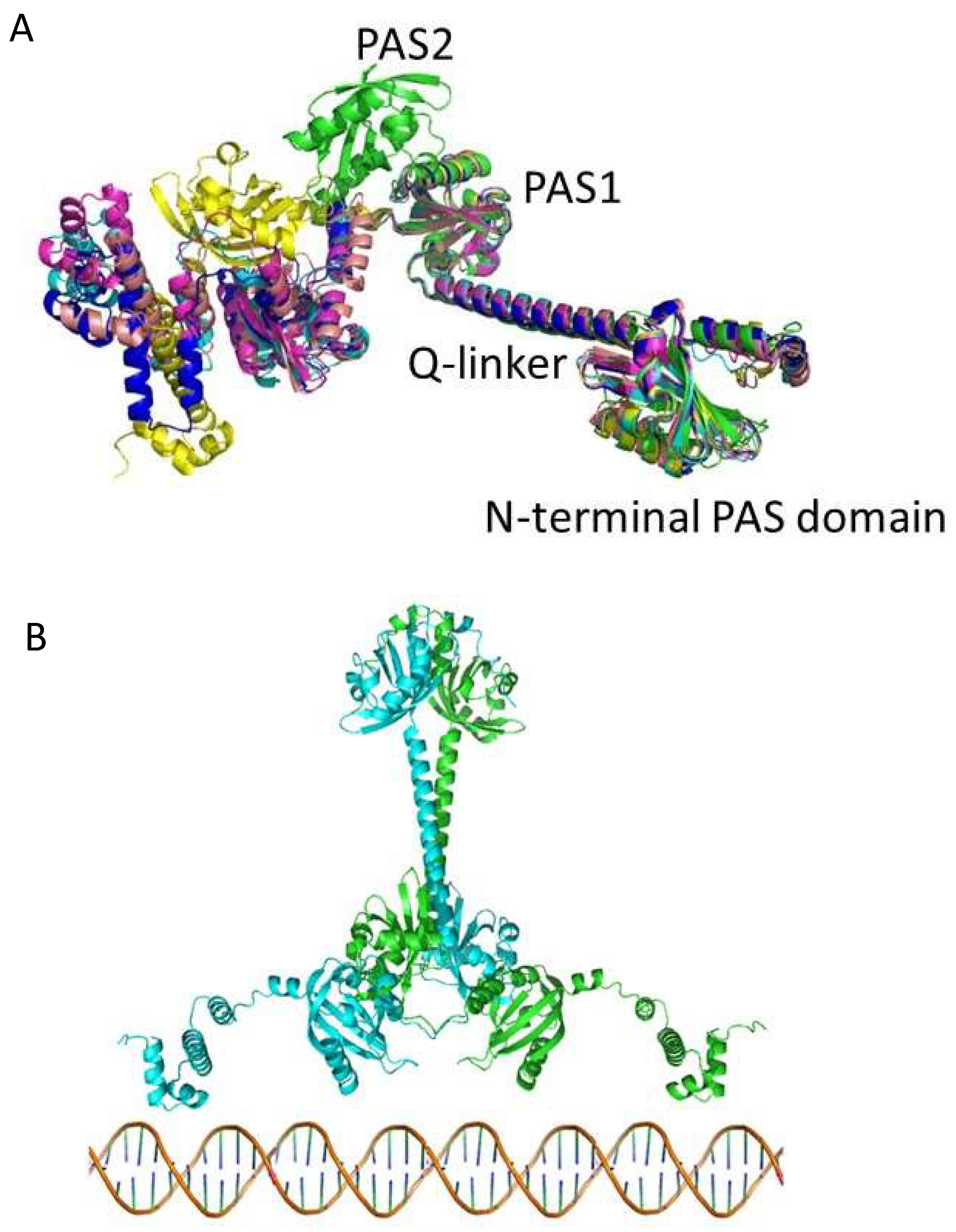 Microorganisms 10 00912 g005