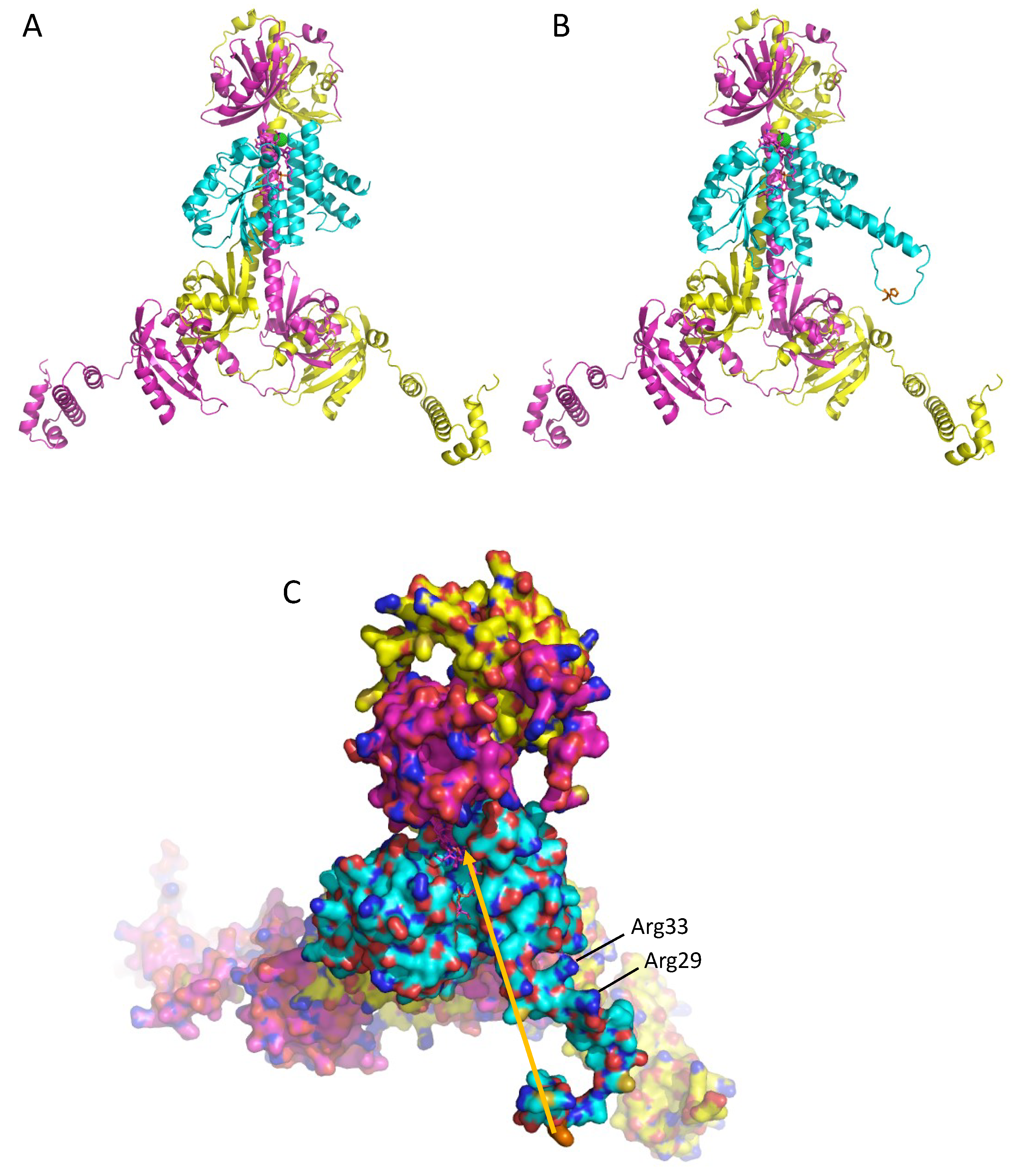 Microorganisms 10 00912 g006