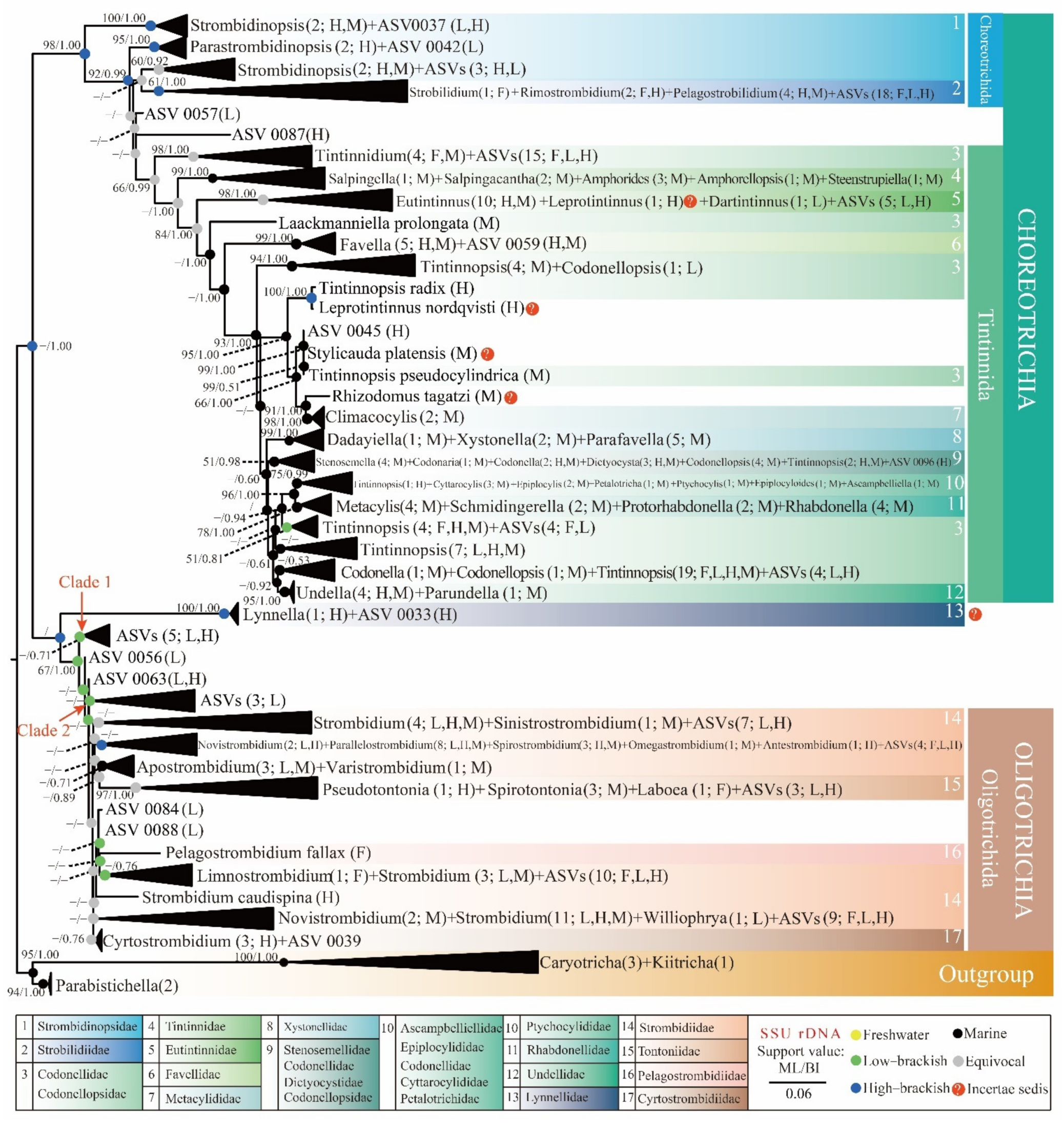 Microorganisms 10 00913 g004 Microorganisms 10 00913 g004
