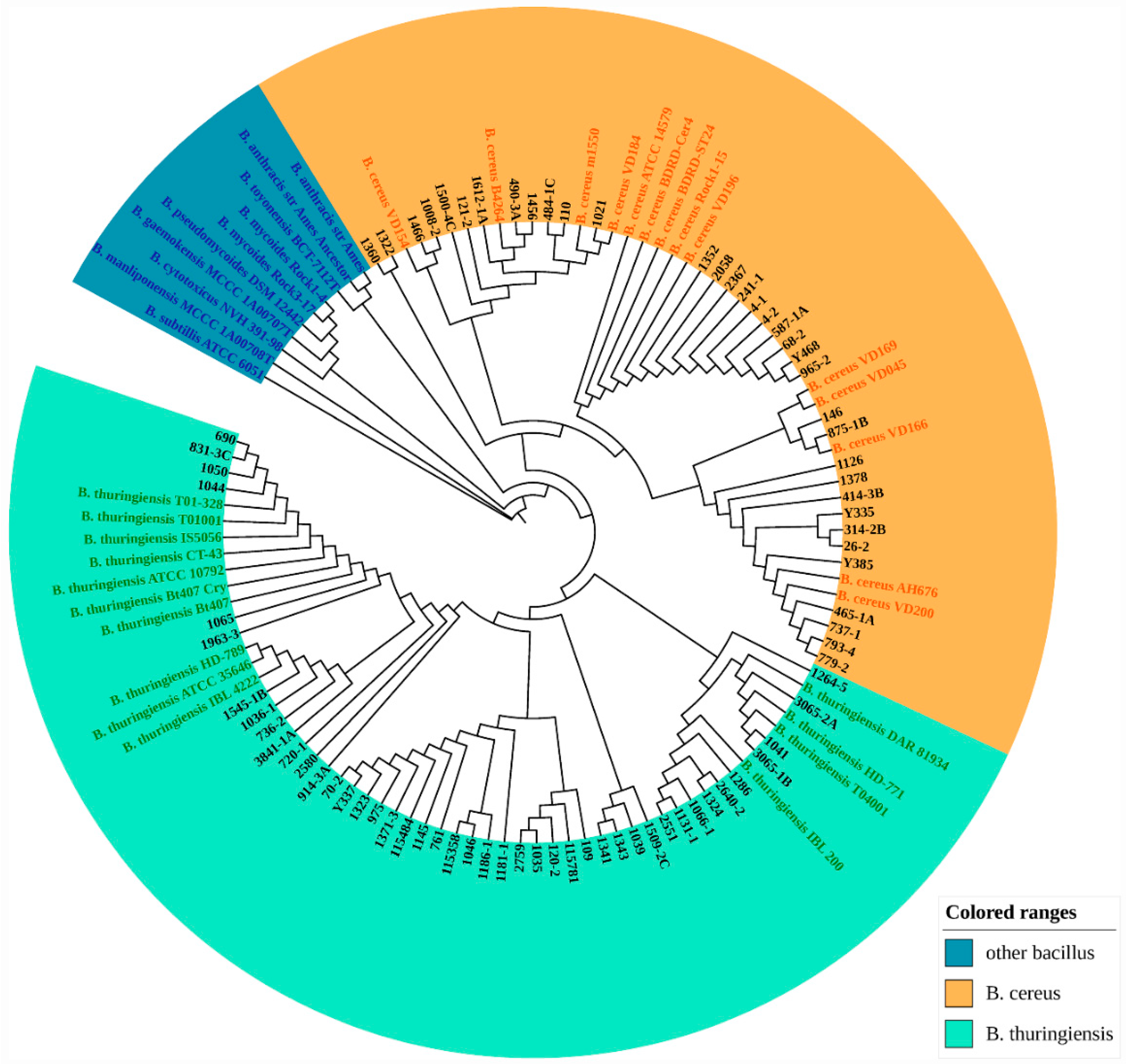 Microorganisms 10 00918 g001