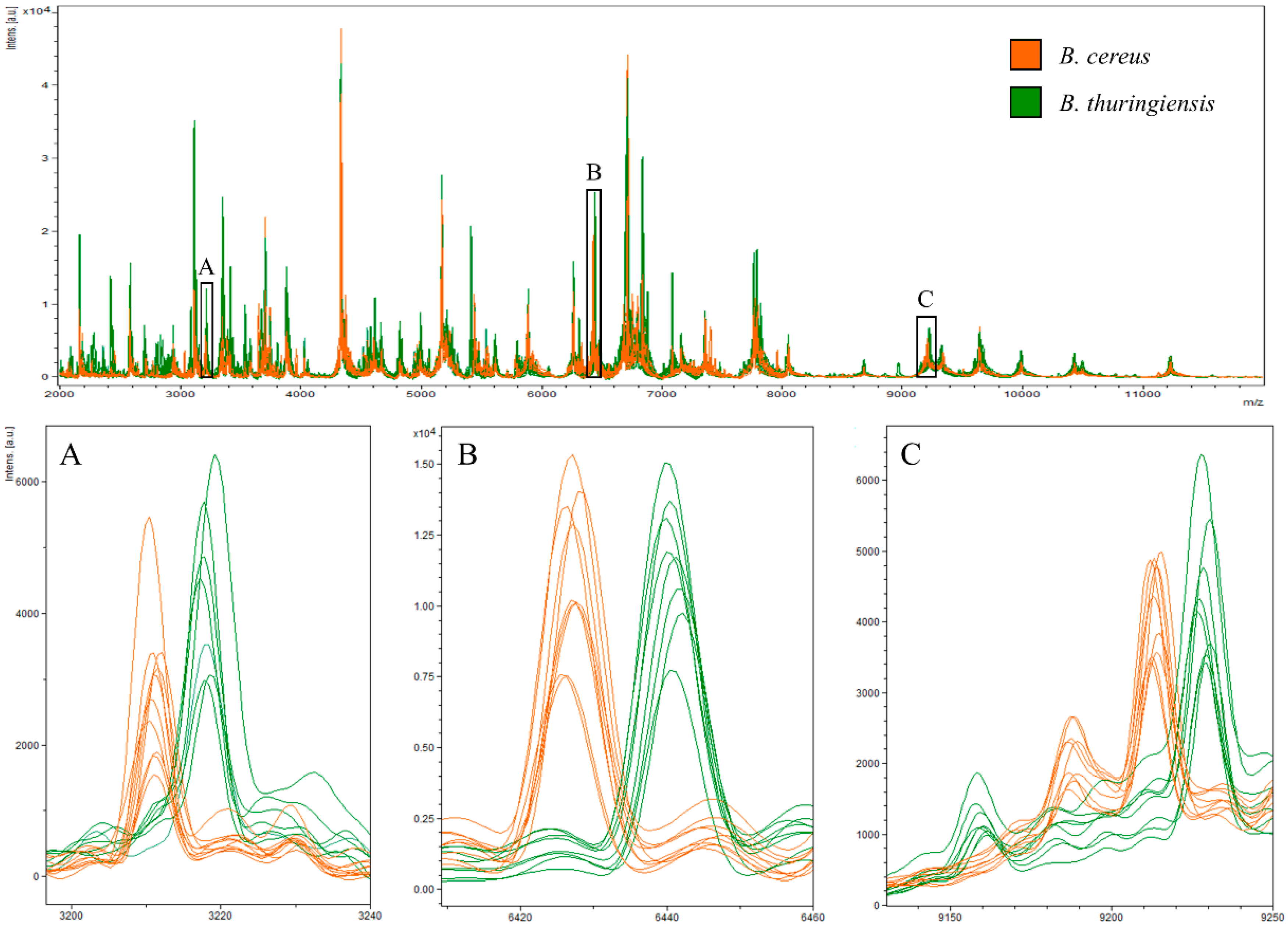 Microorganisms 10 00918 g002