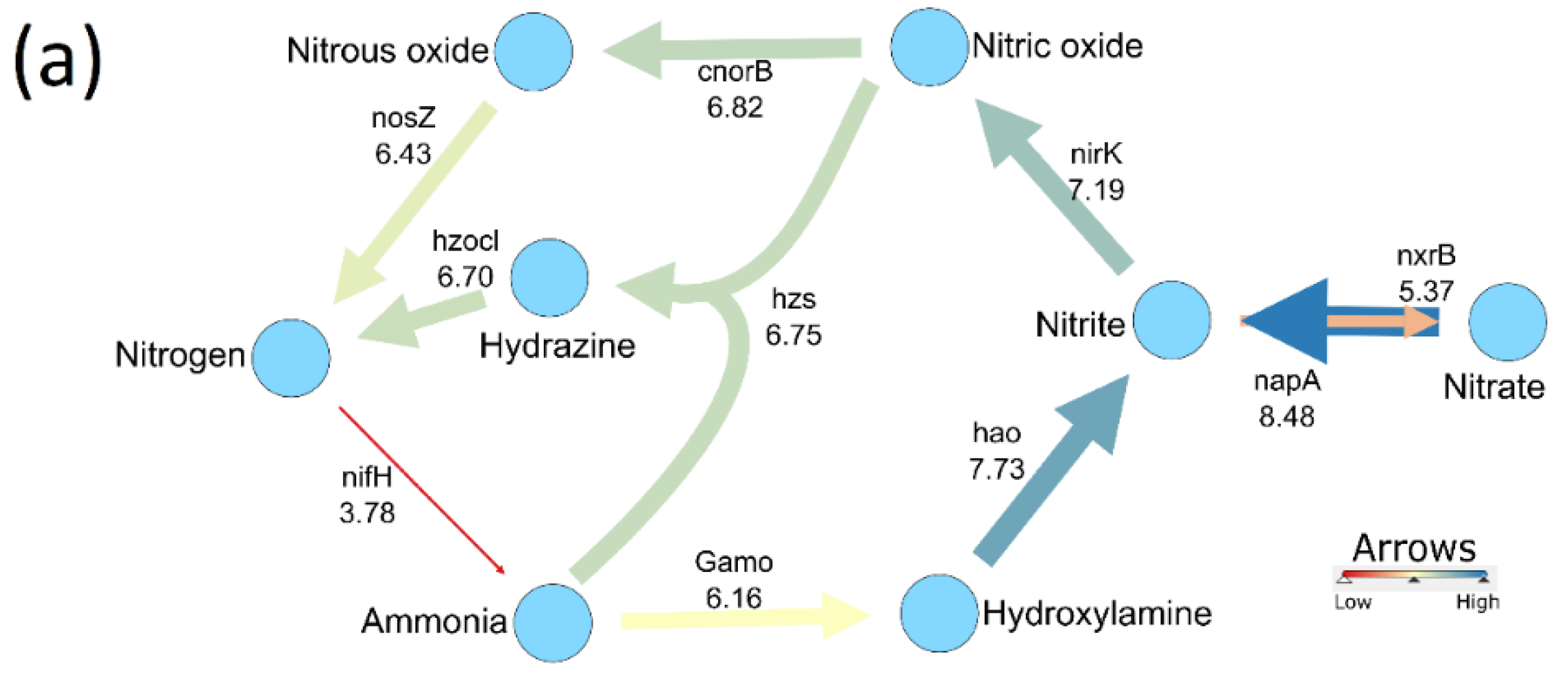 Microorganisms 10 00923 g002a