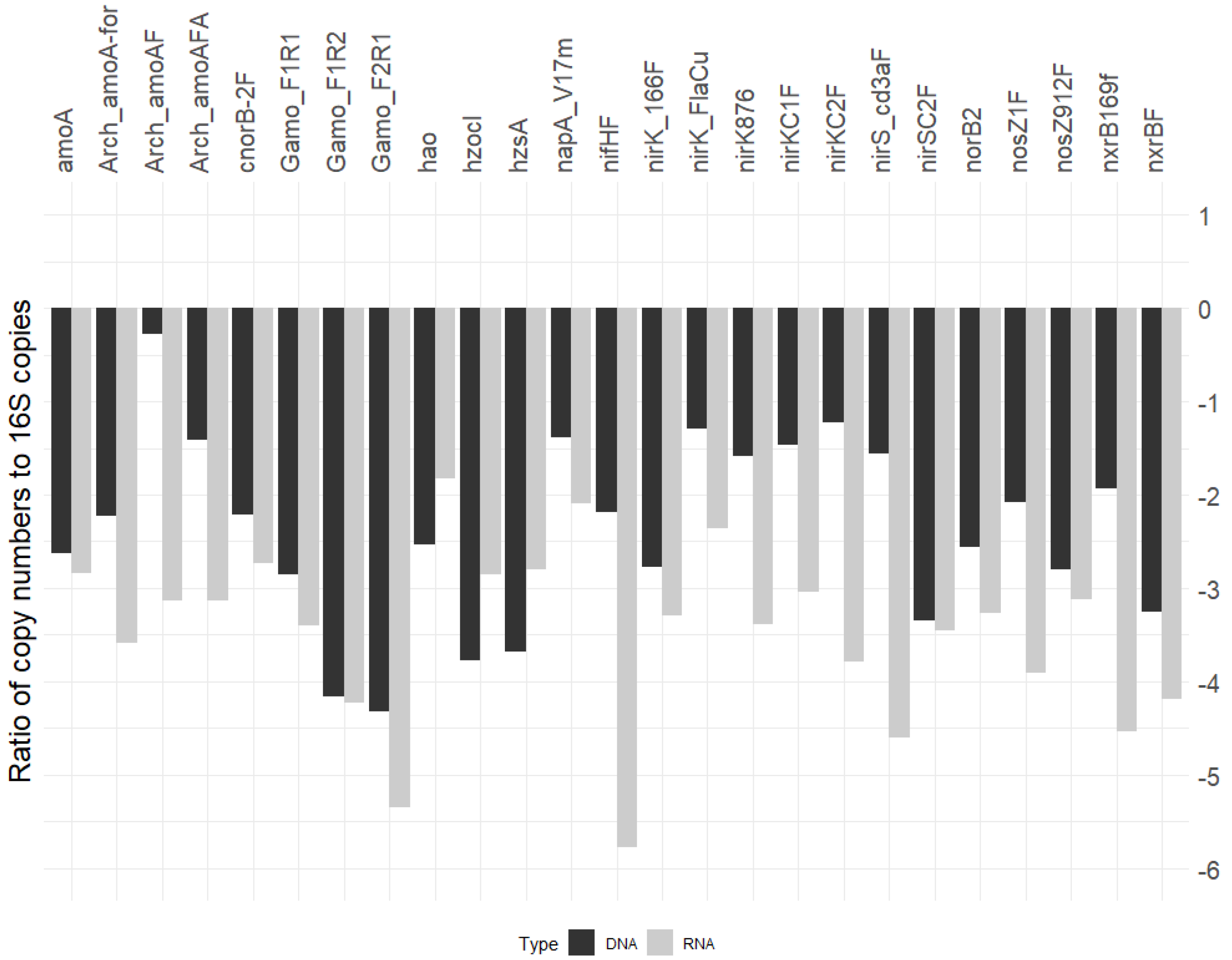 Microorganisms 10 00923 g004