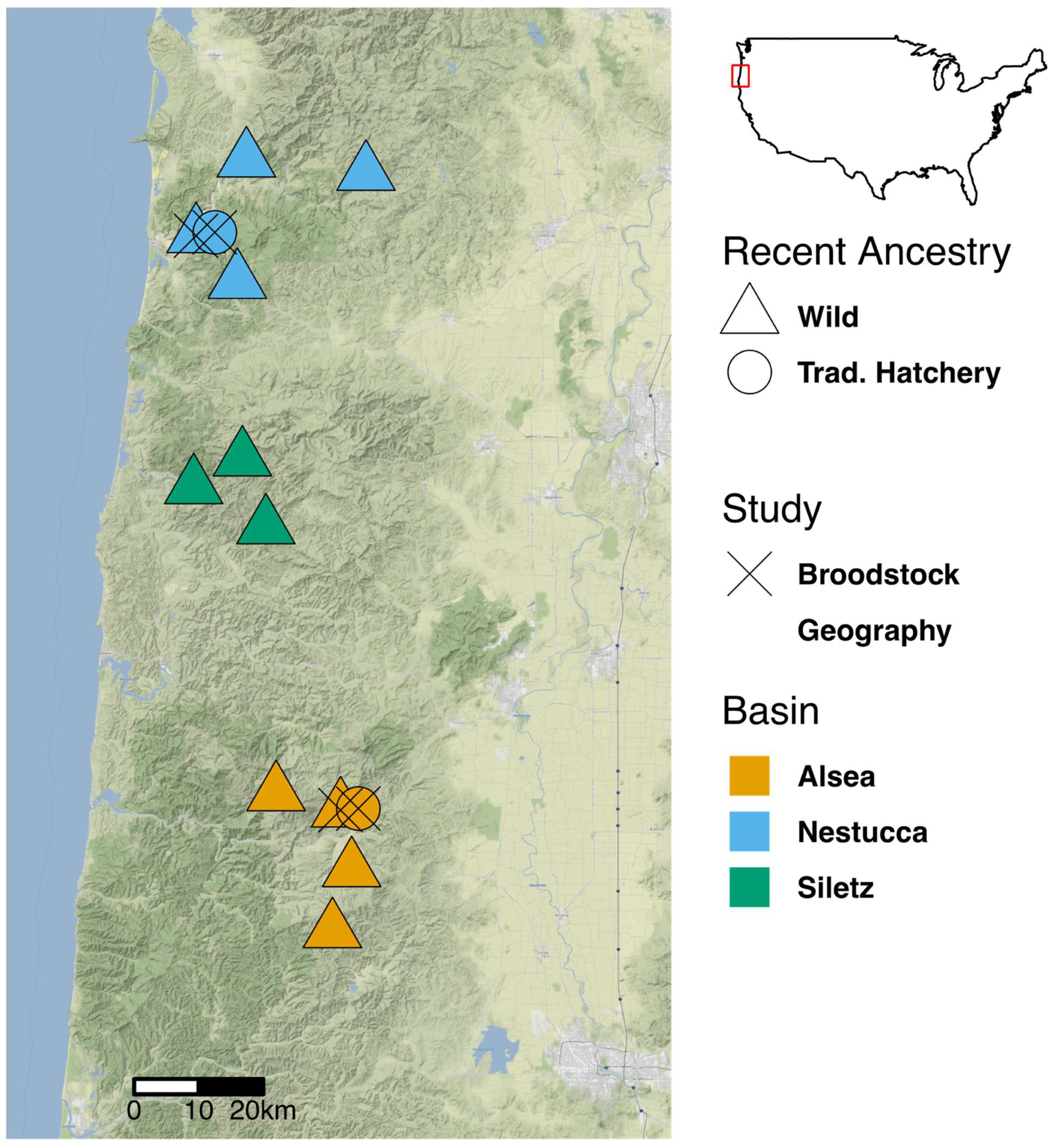 Microorganisms 10 00933 g001