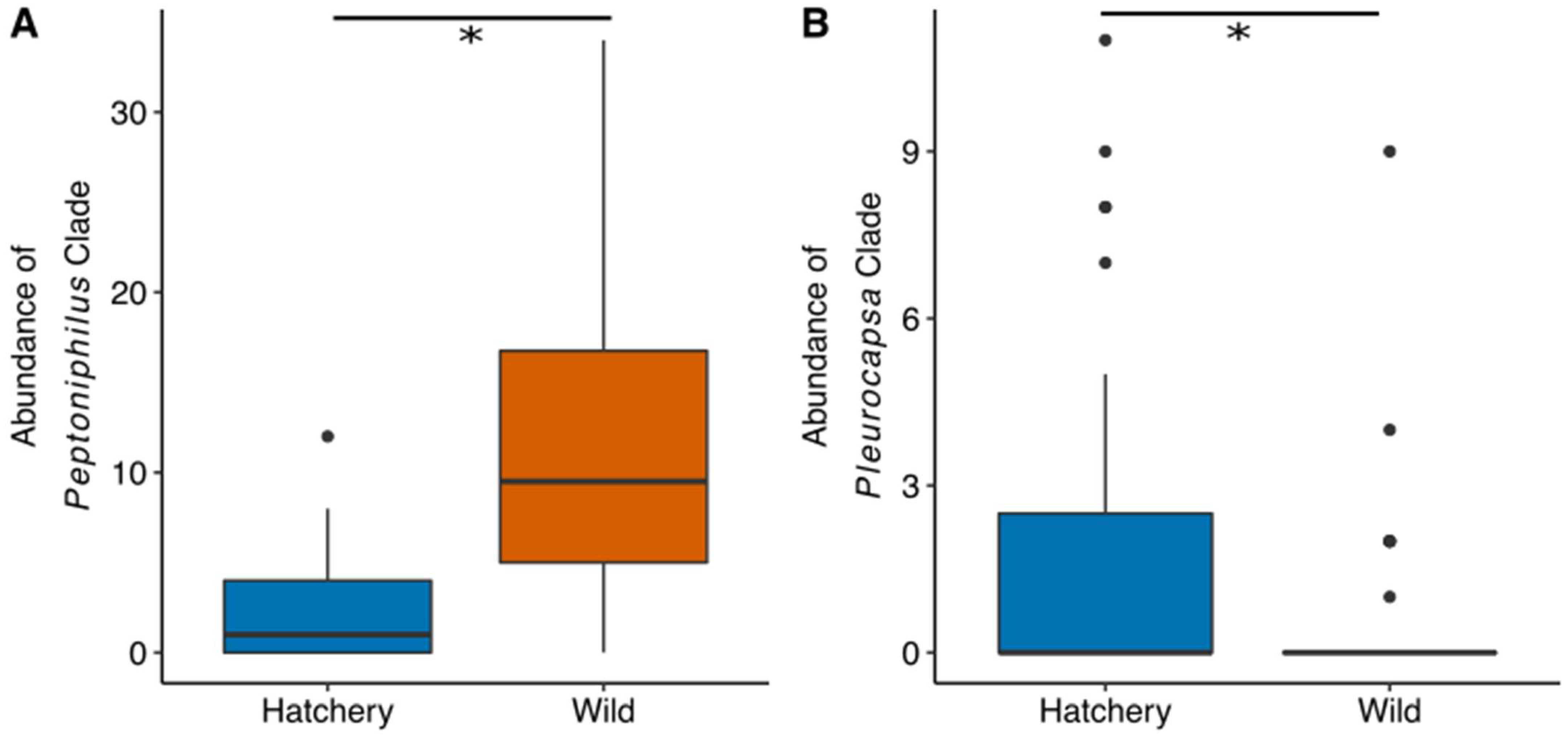 Microorganisms 10 00933 g006