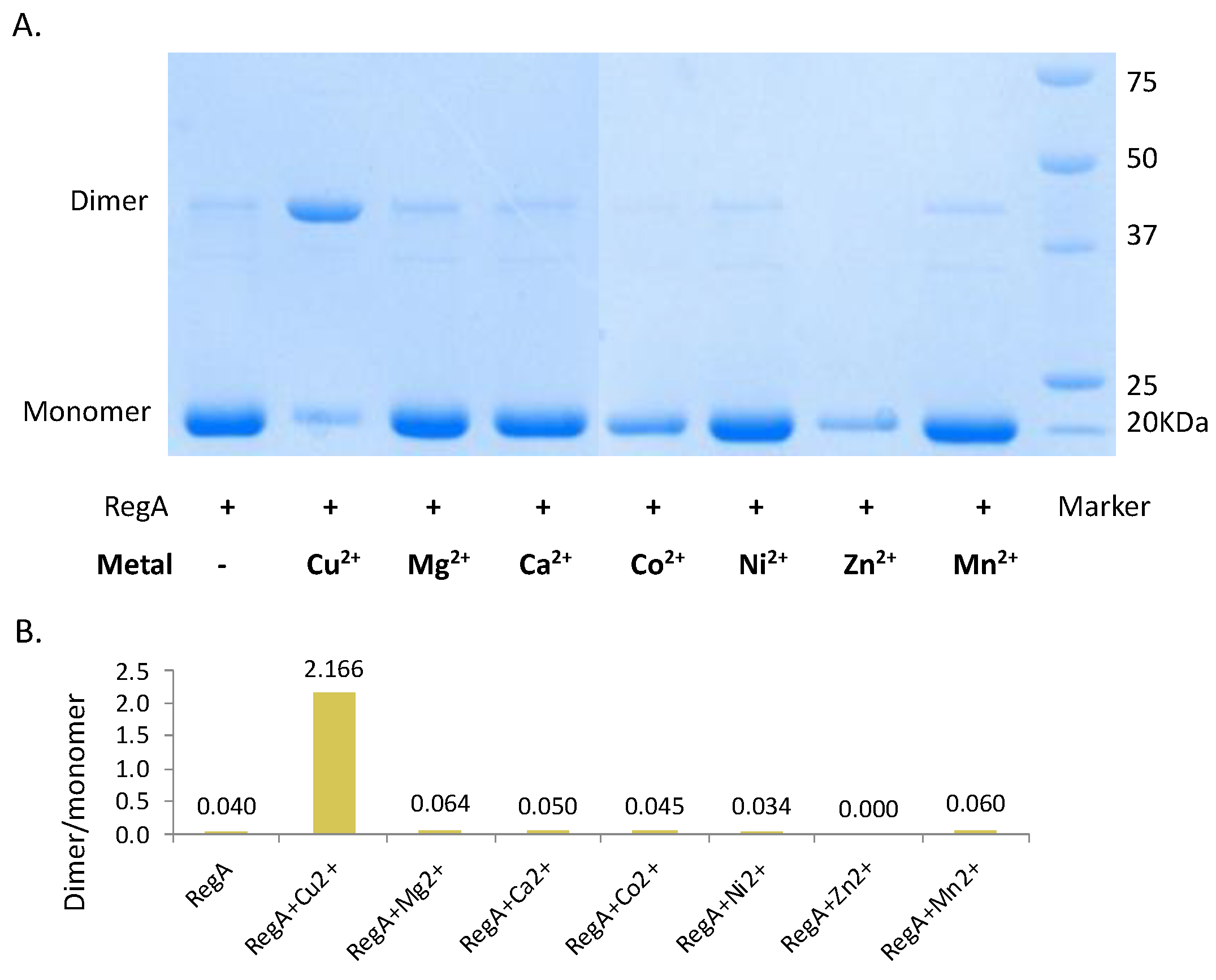 Microorganisms 10 00934 g002