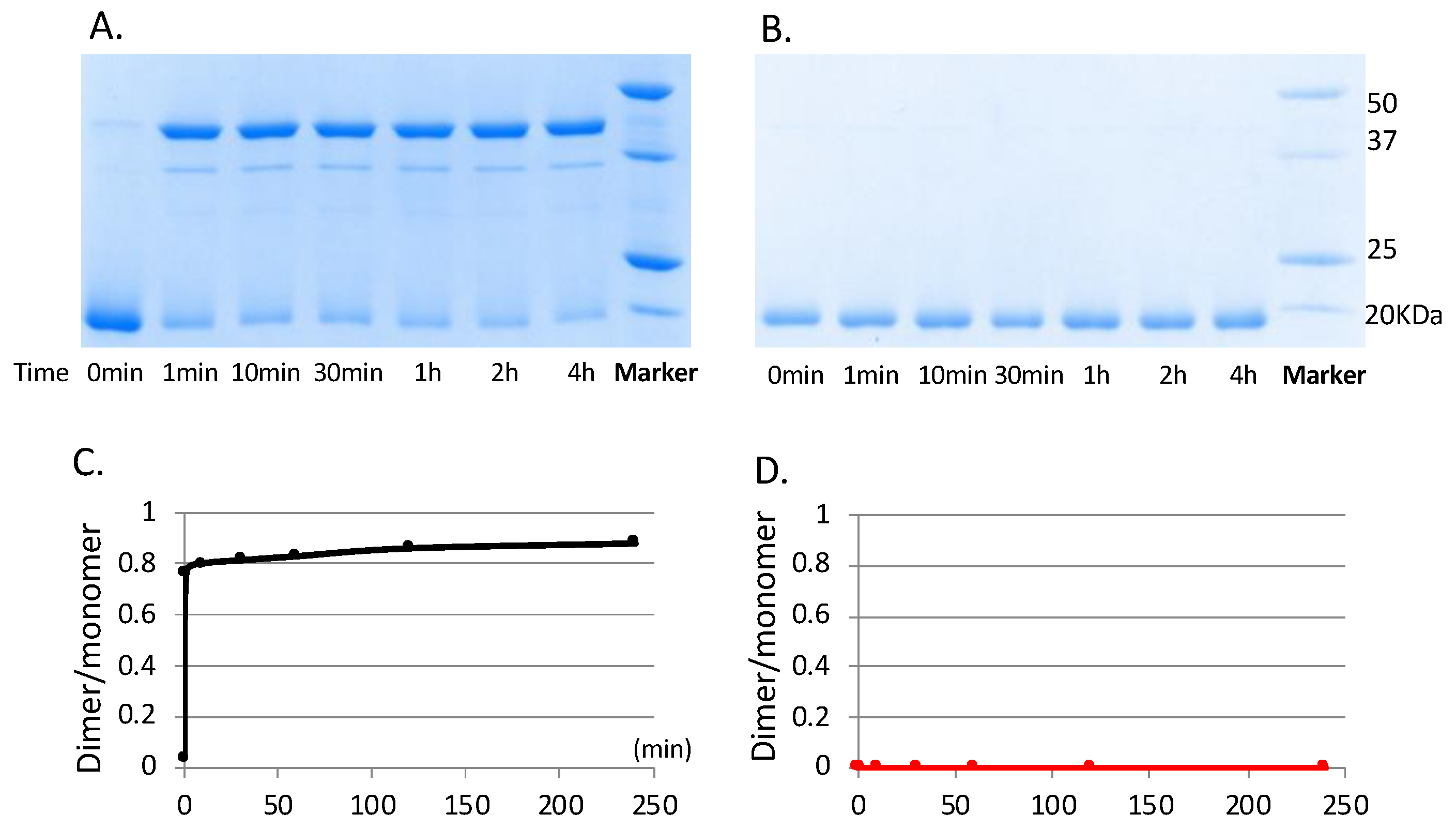 Microorganisms 10 00934 g003