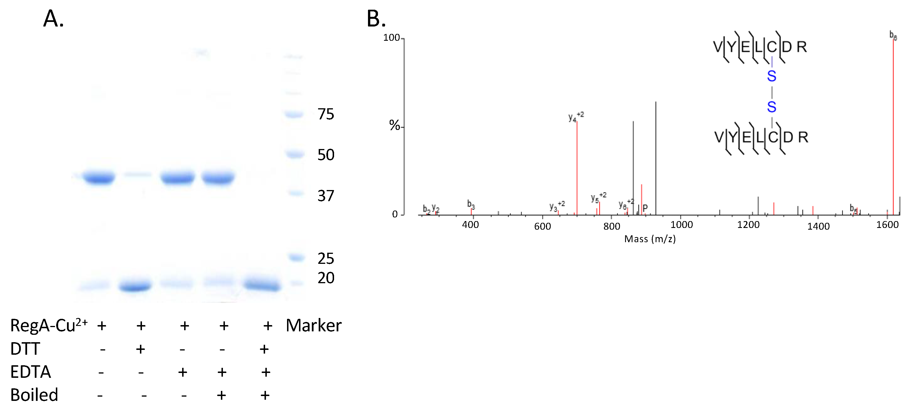Microorganisms 10 00934 g005