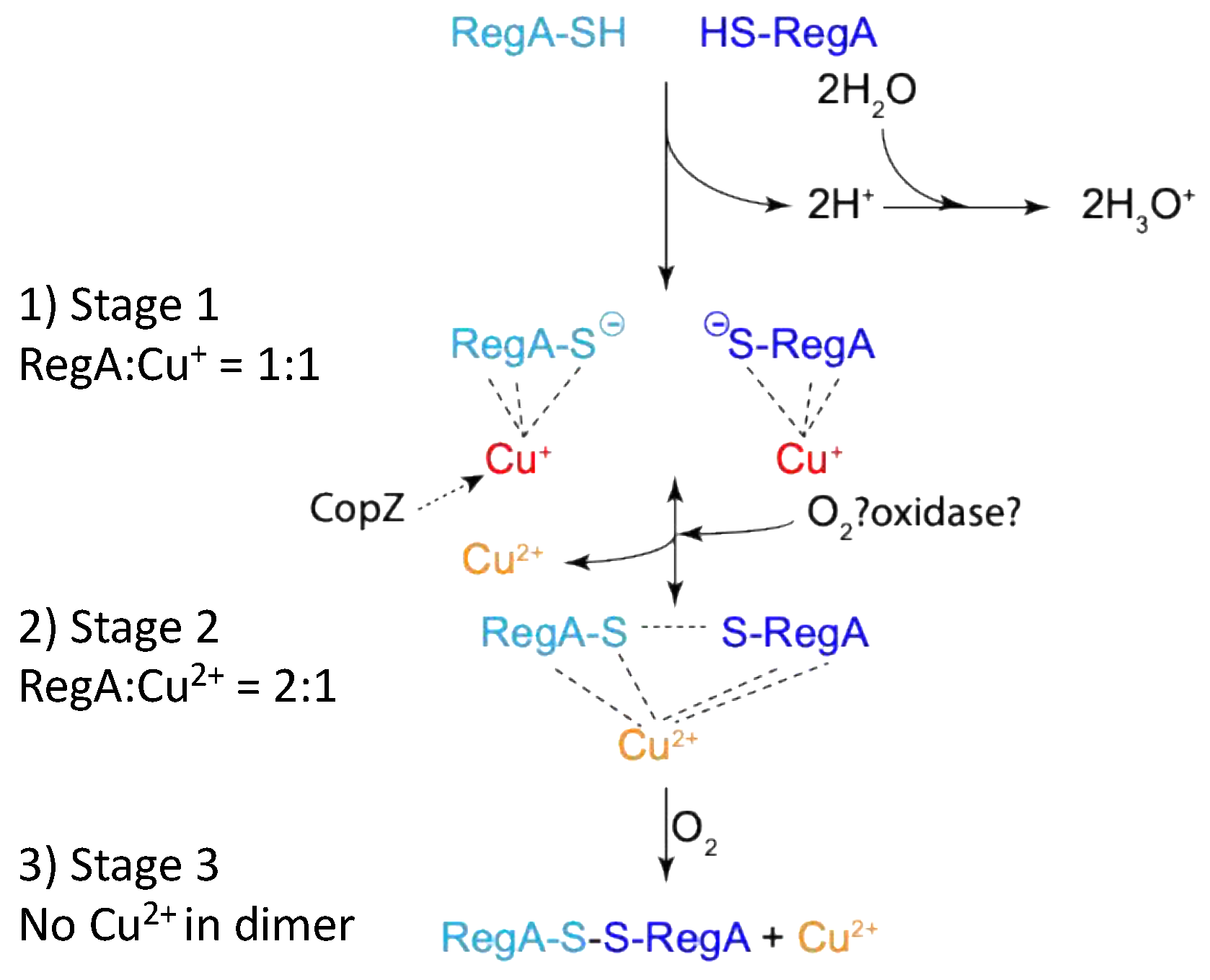 Microorganisms 10 00934 g007