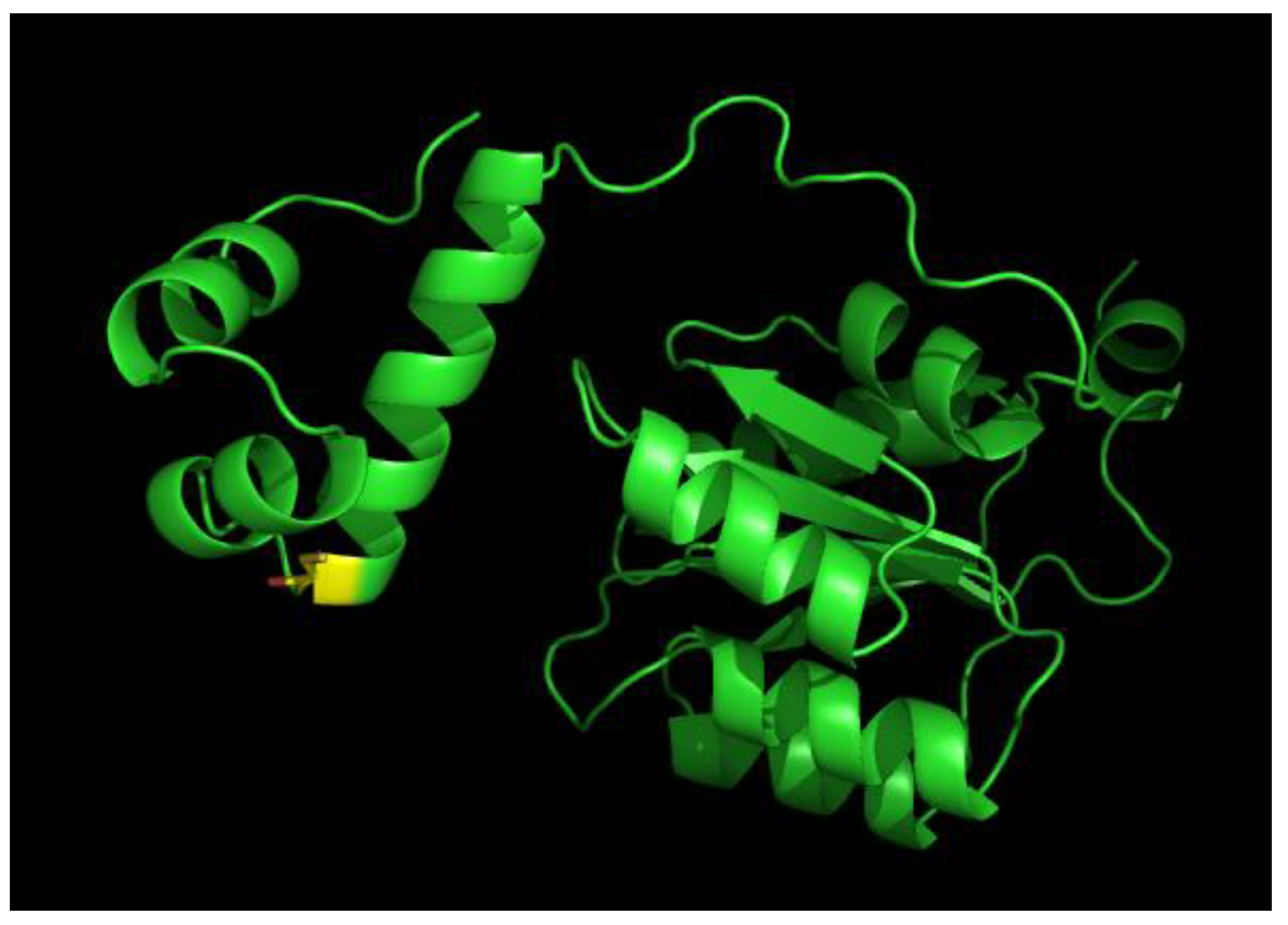 Microorganisms 10 00934 g008