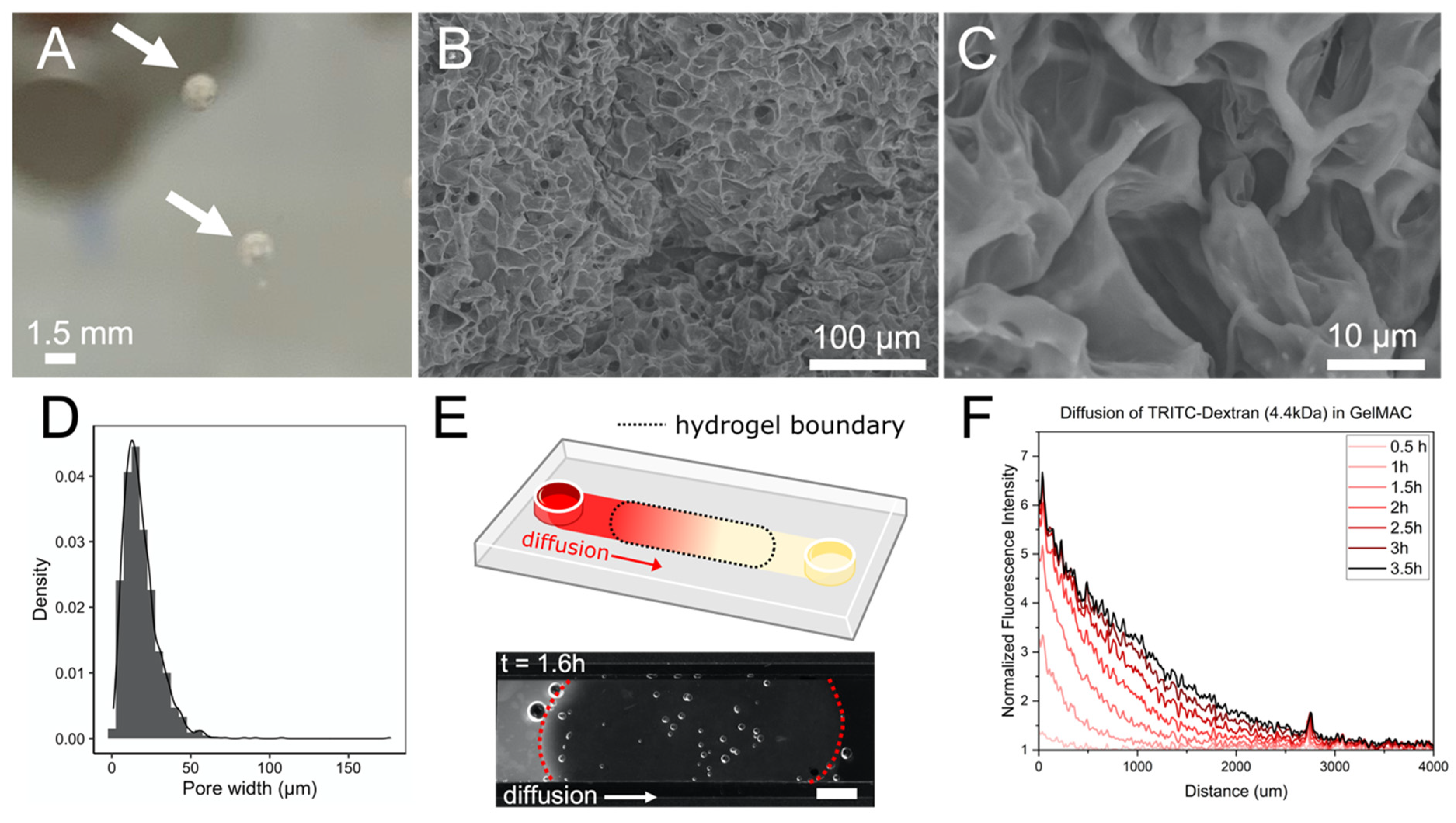 Microorganisms 10 00944 g001