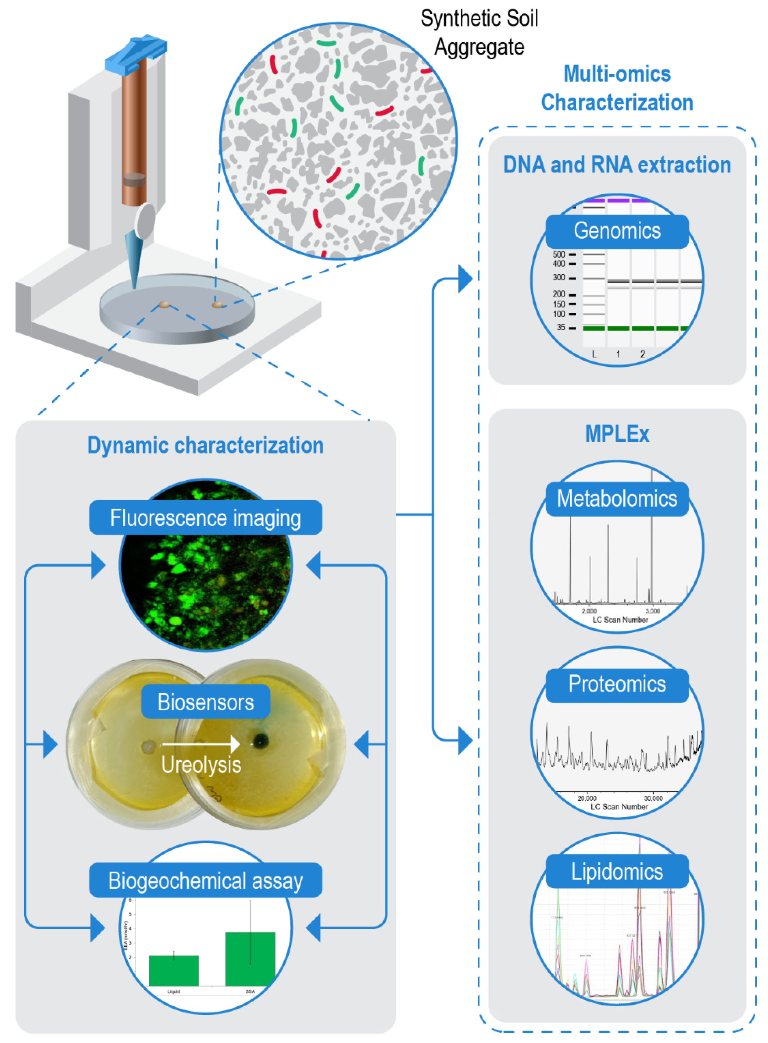 Microorganisms 10 00944 g003