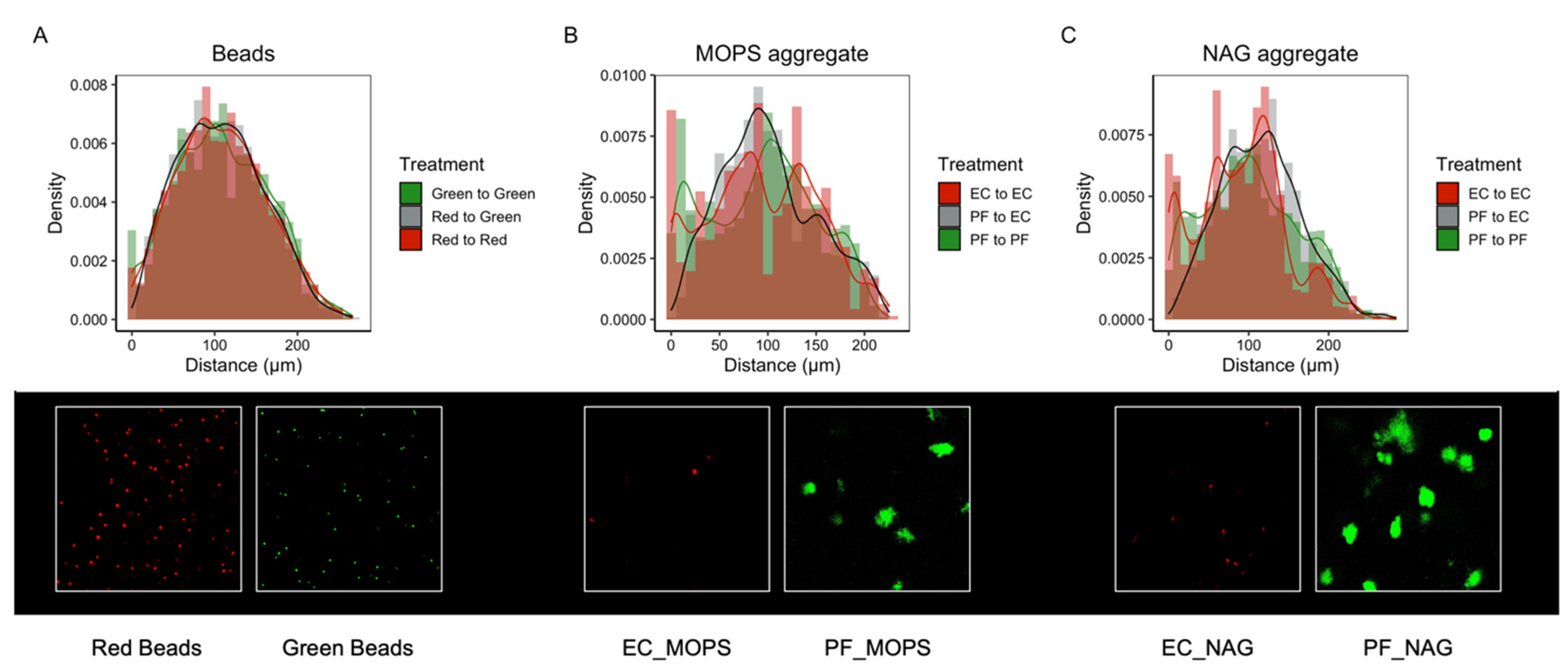 Microorganisms 10 00944 g005