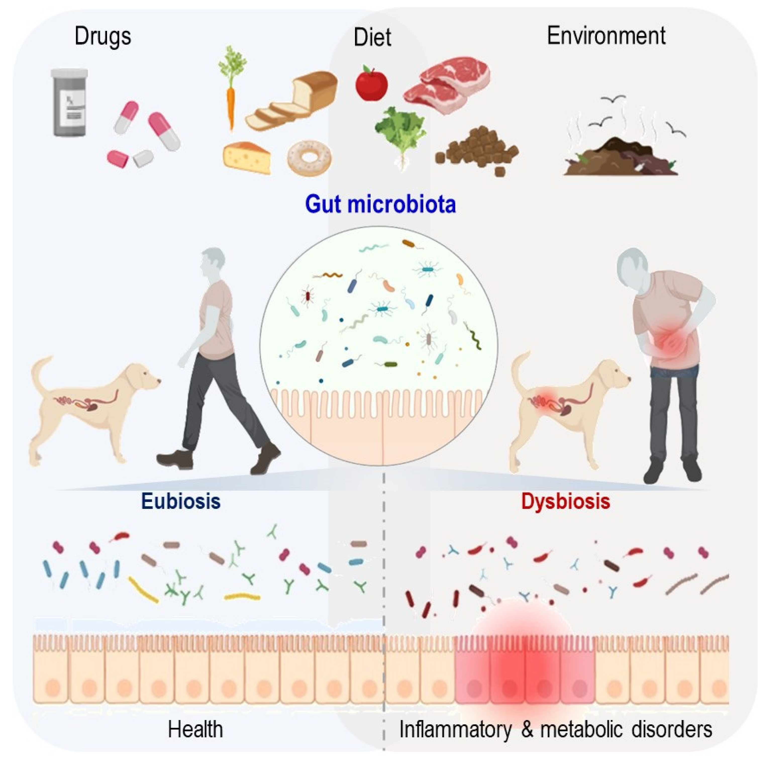 Microorganisms 10 00949 g001