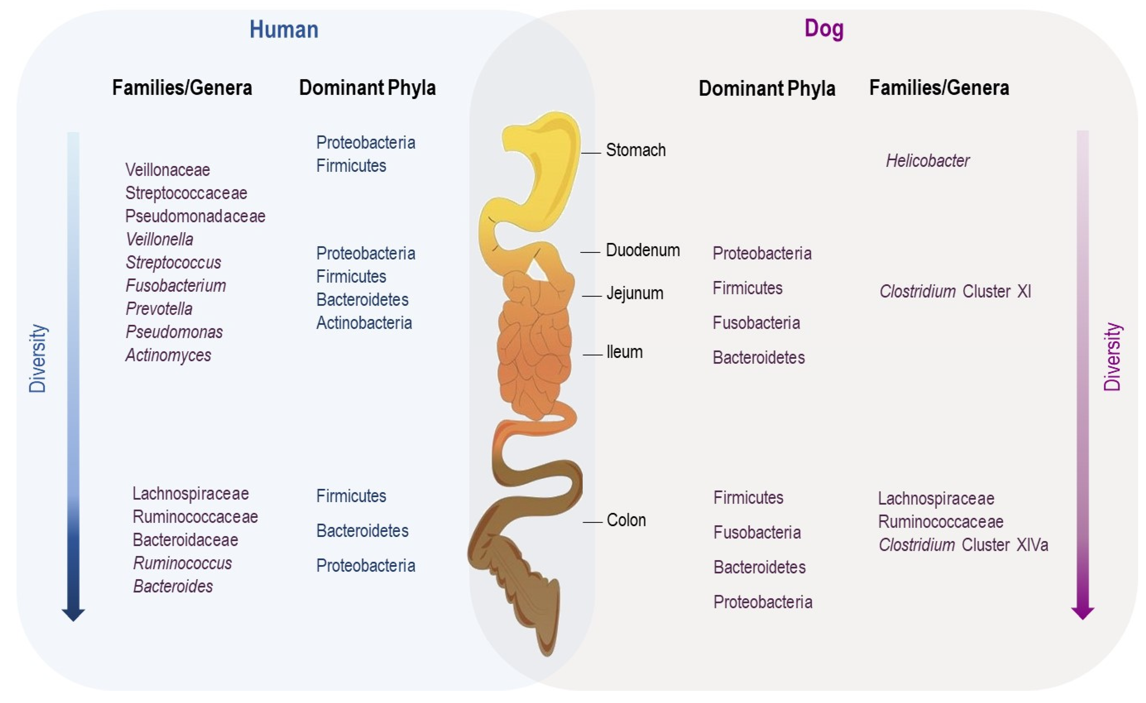 Microorganisms 10 00949 g002