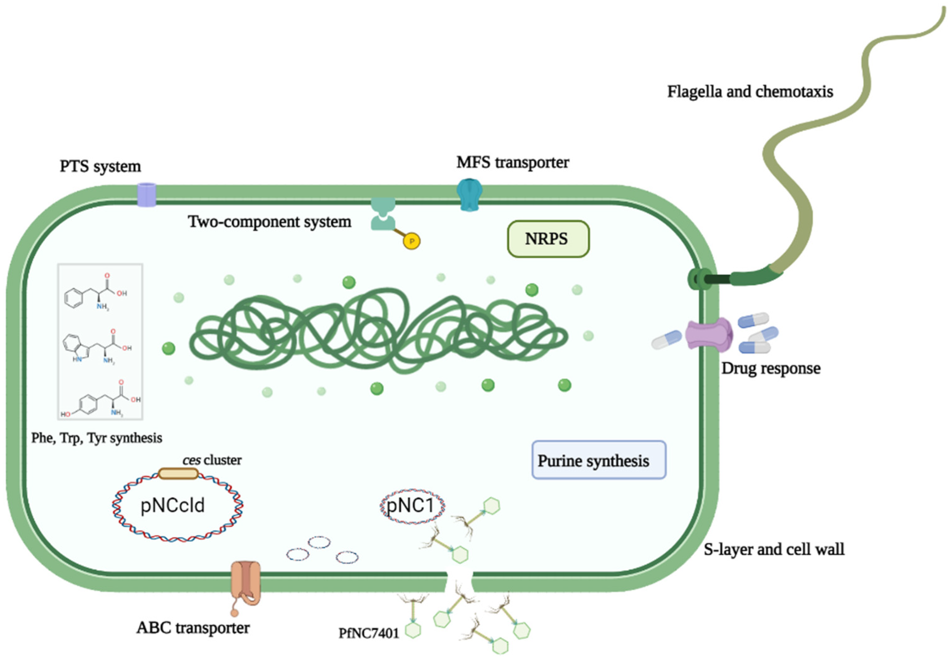 Microorganisms 10 00953 g003