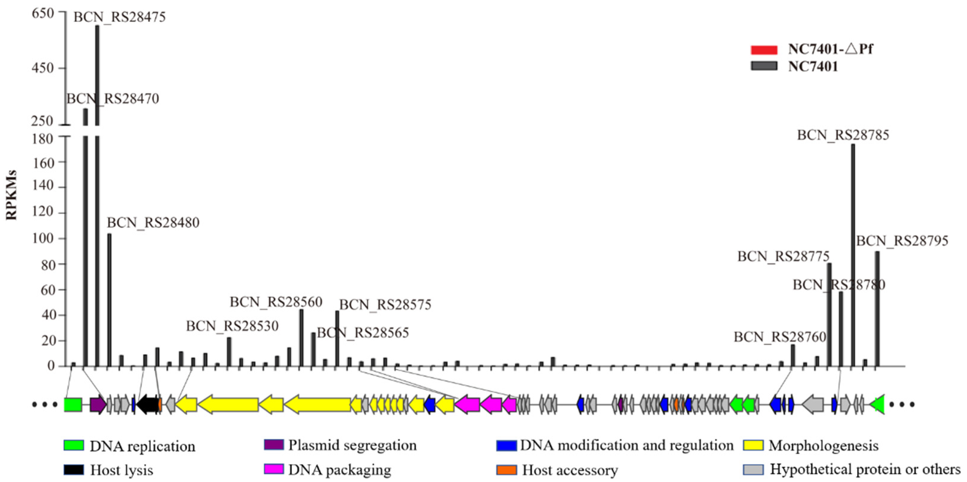Microorganisms 10 00953 g004