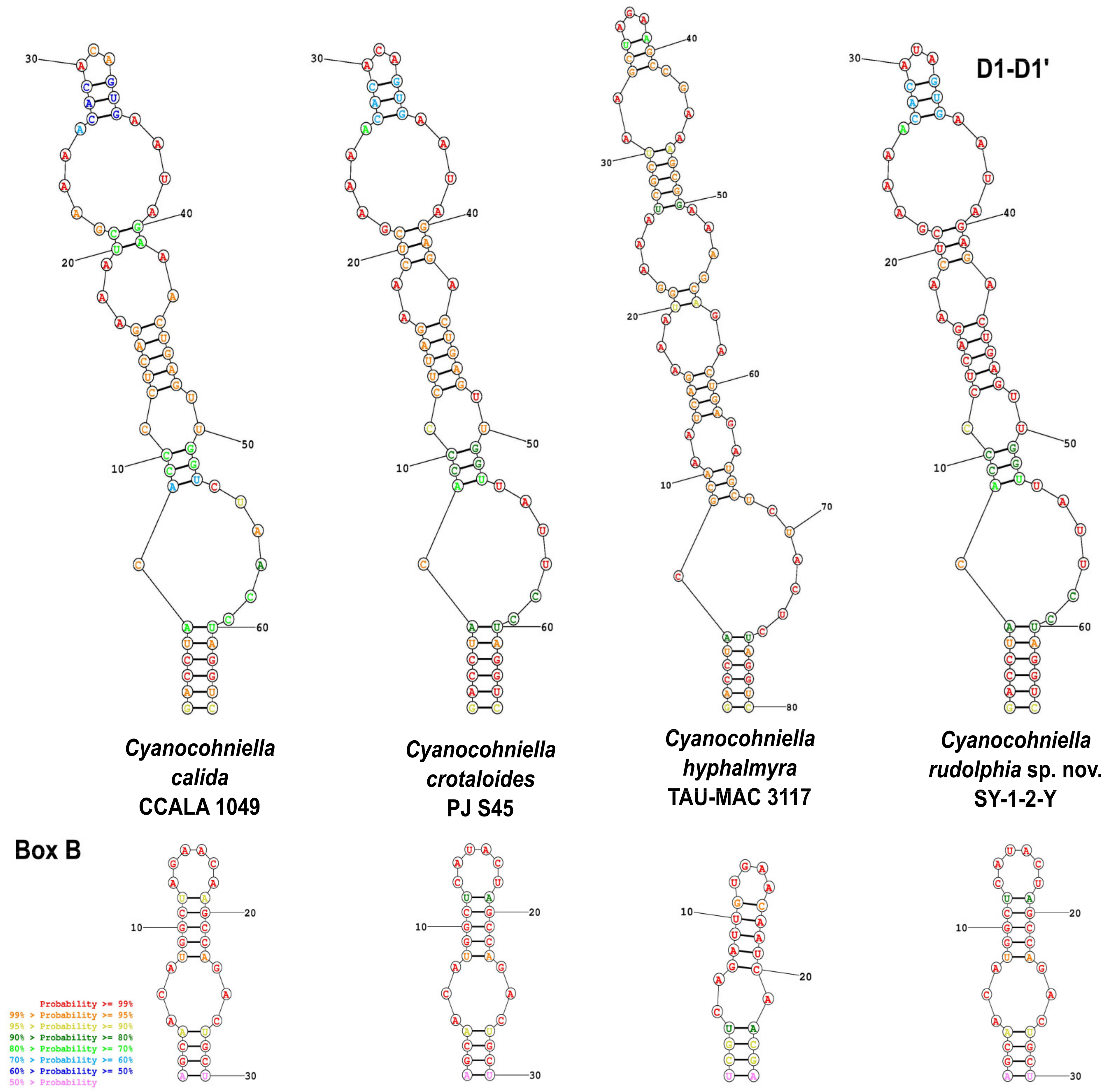 Microorganisms 10 00968 g002