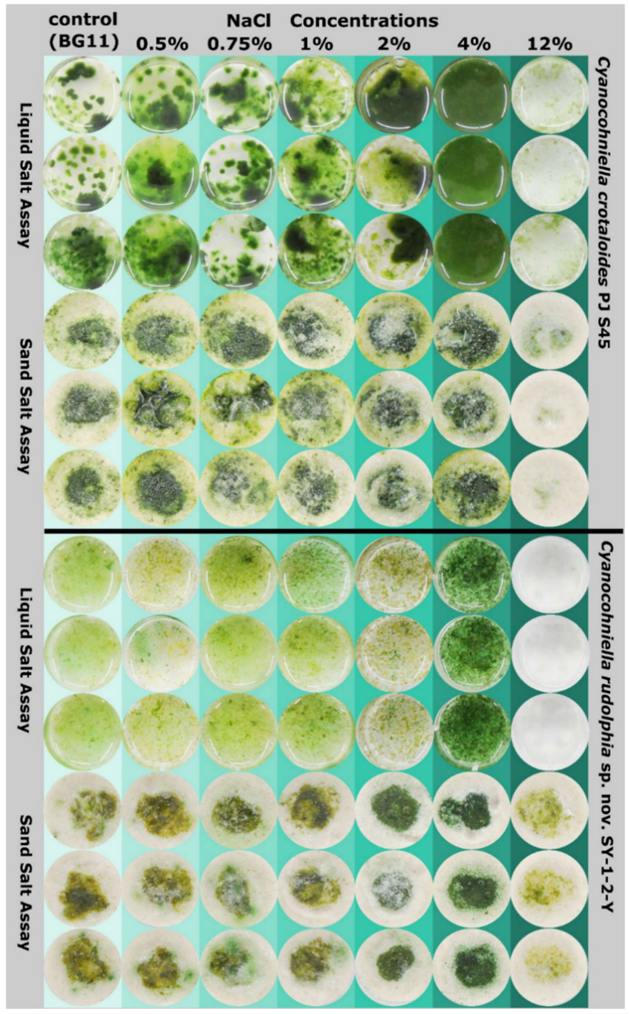 Microorganisms 10 00968 g005