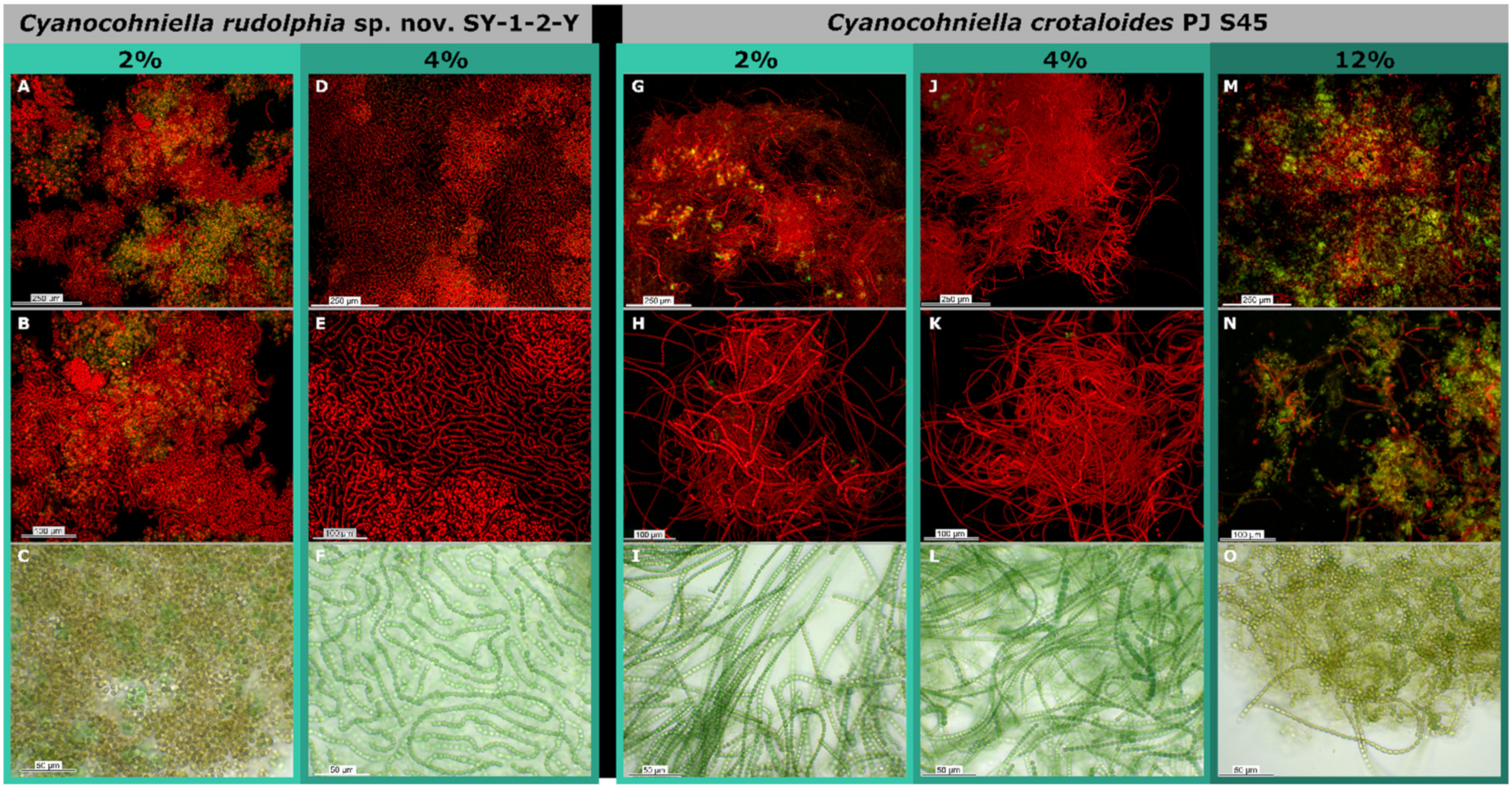 Microorganisms 10 00968 g006