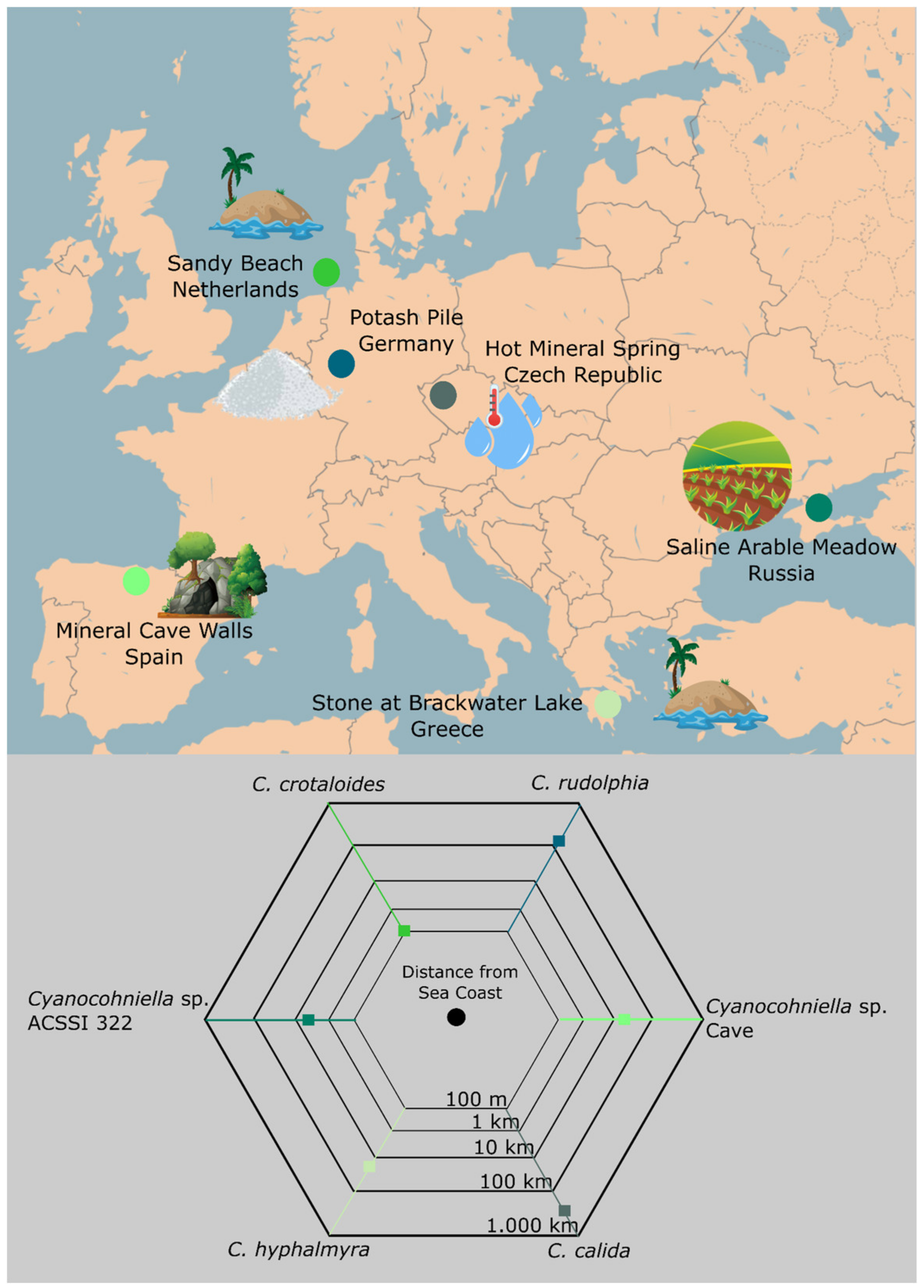 Microorganisms 10 00968 g007