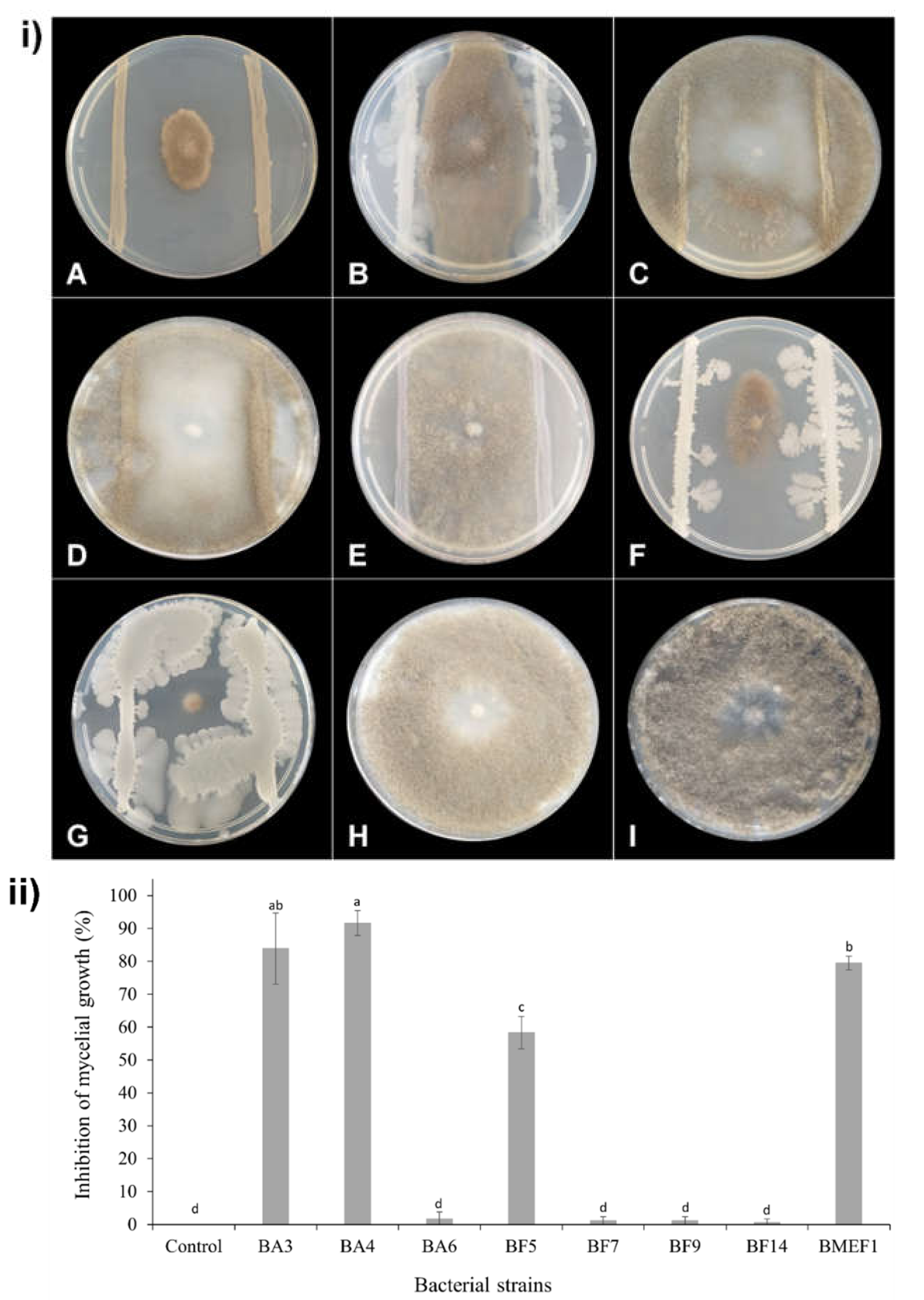 Microorganisms 10 00969 g001
