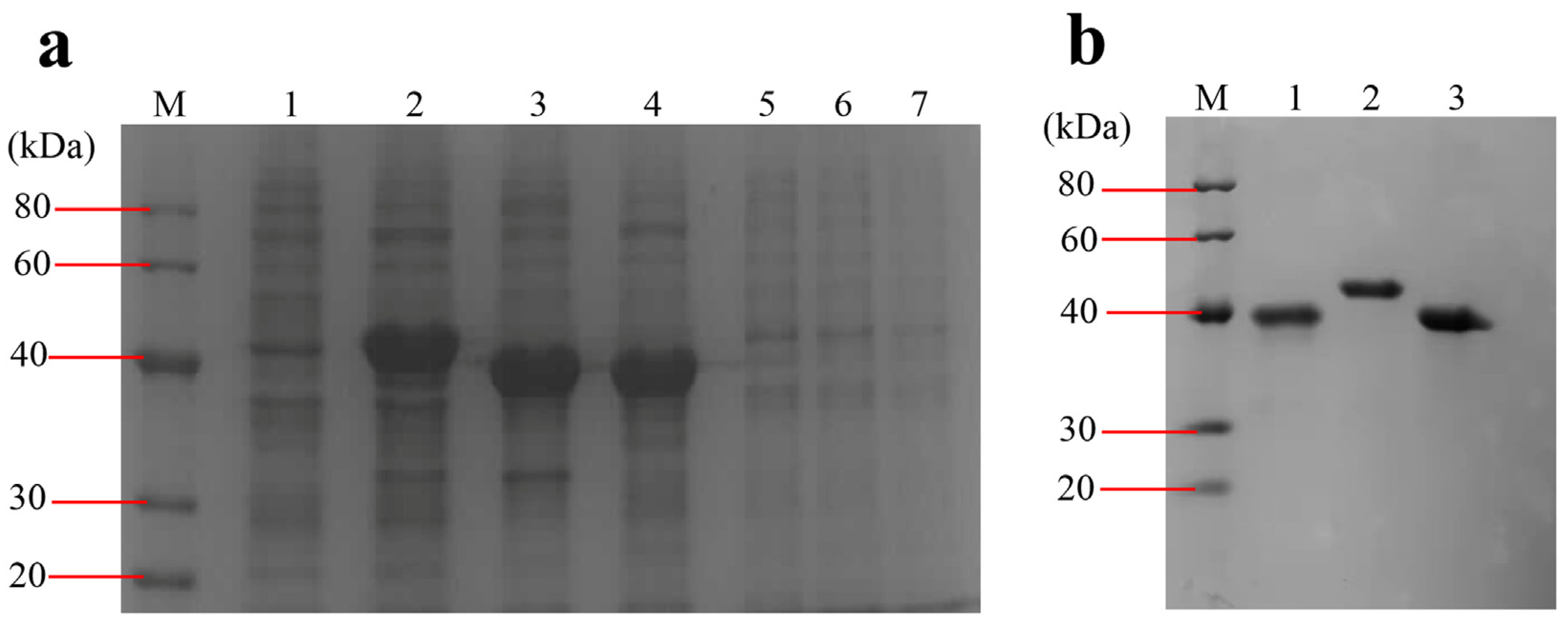 Microorganisms 10 00982 g002