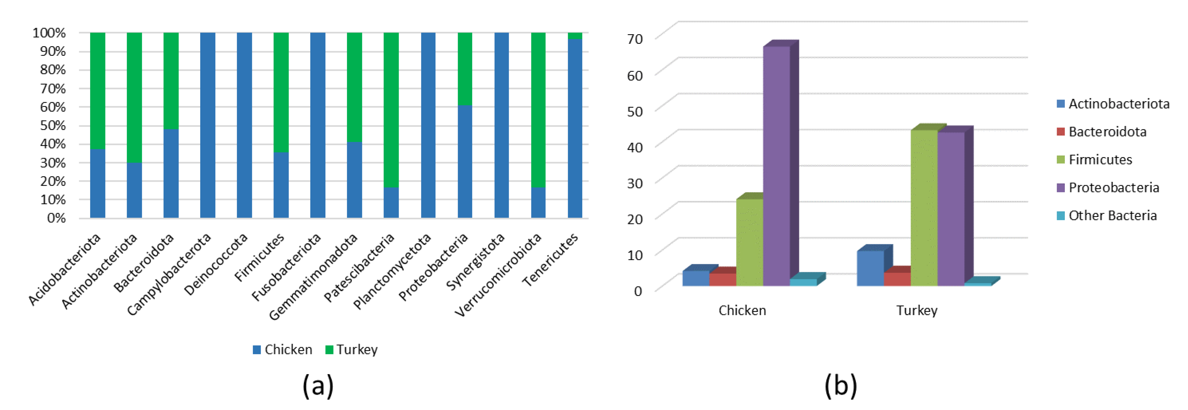 Microorganisms 10 00987 g001