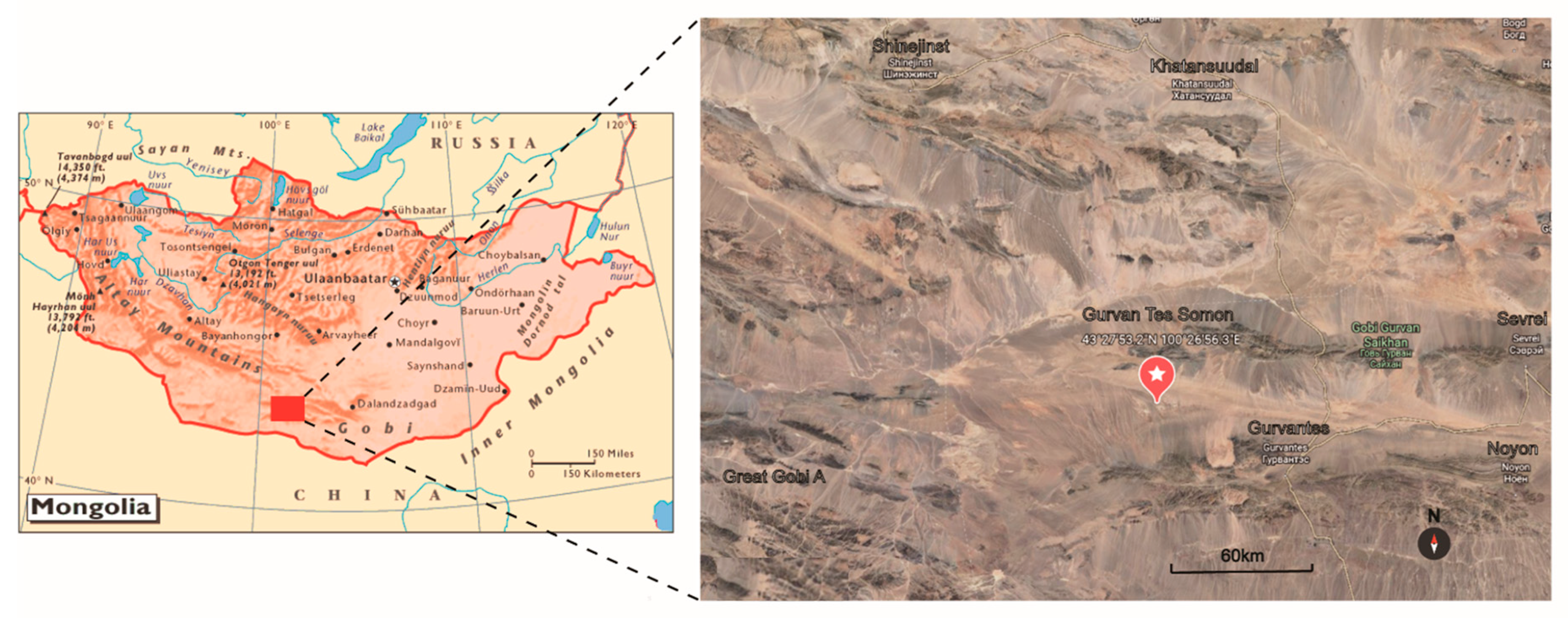 Microorganisms 10 00989 g001