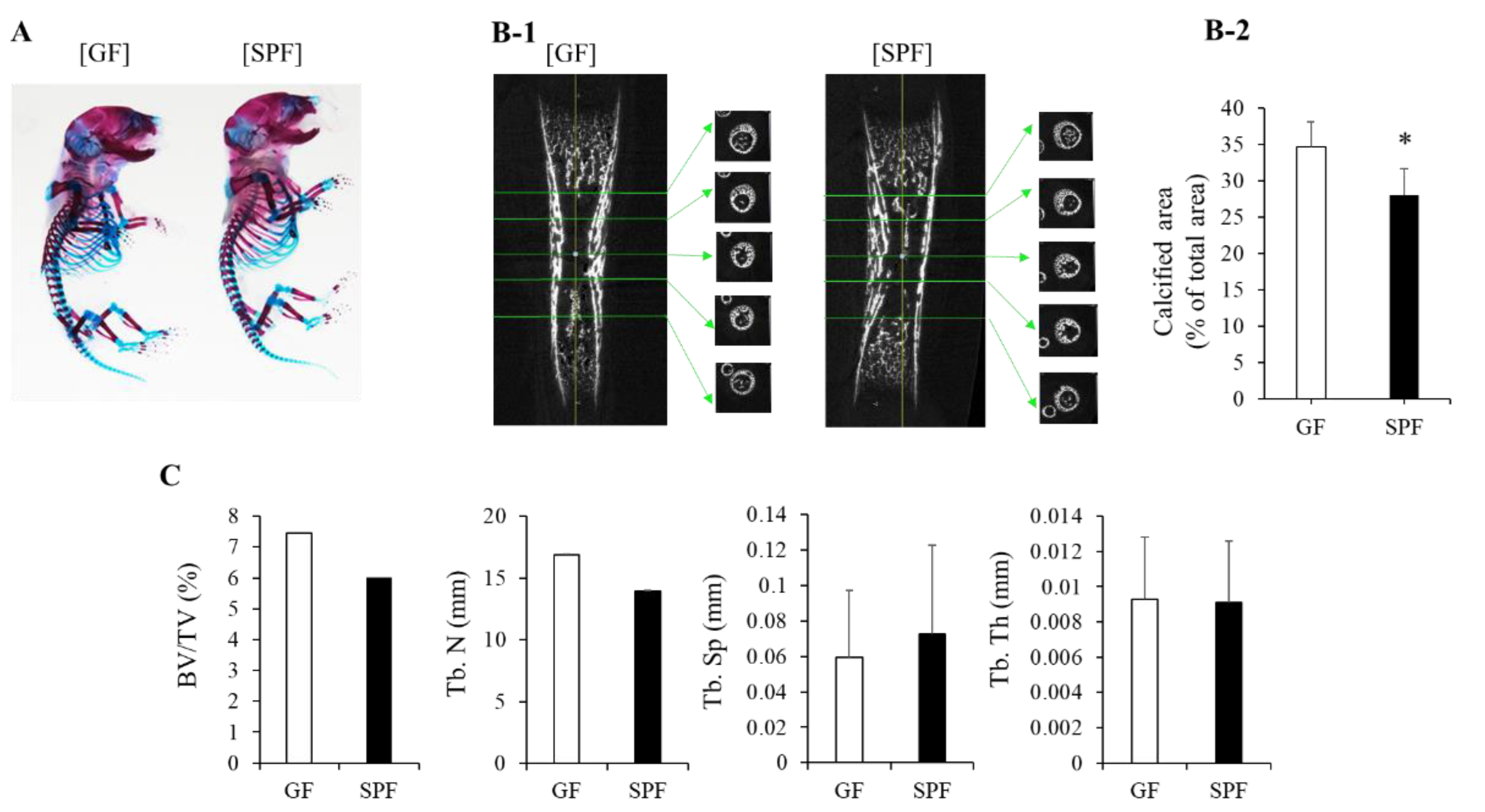 Microorganisms 10 01000 g002