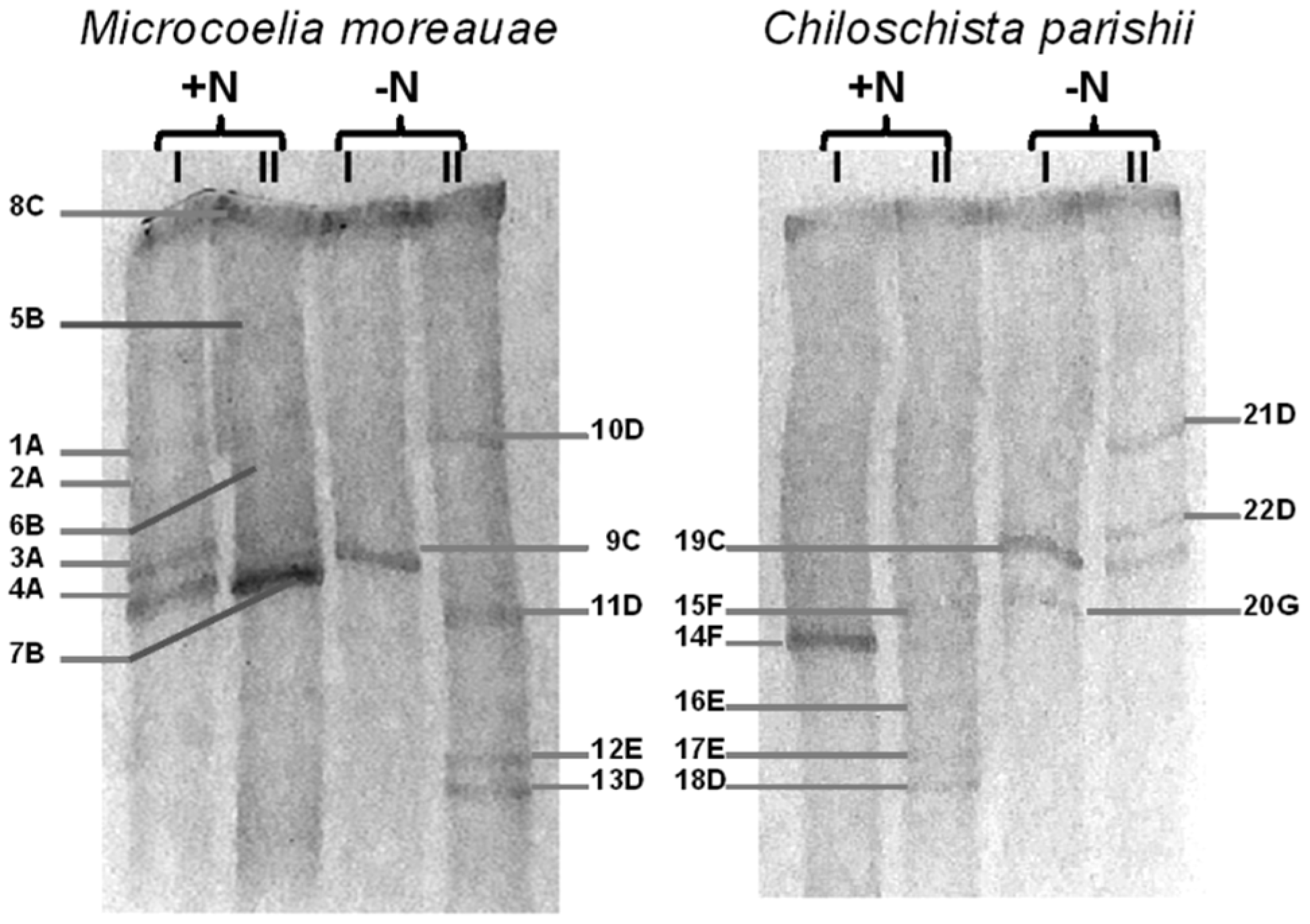 Microorganisms 10 01006 g003 Microorganisms 10 01006 g003
