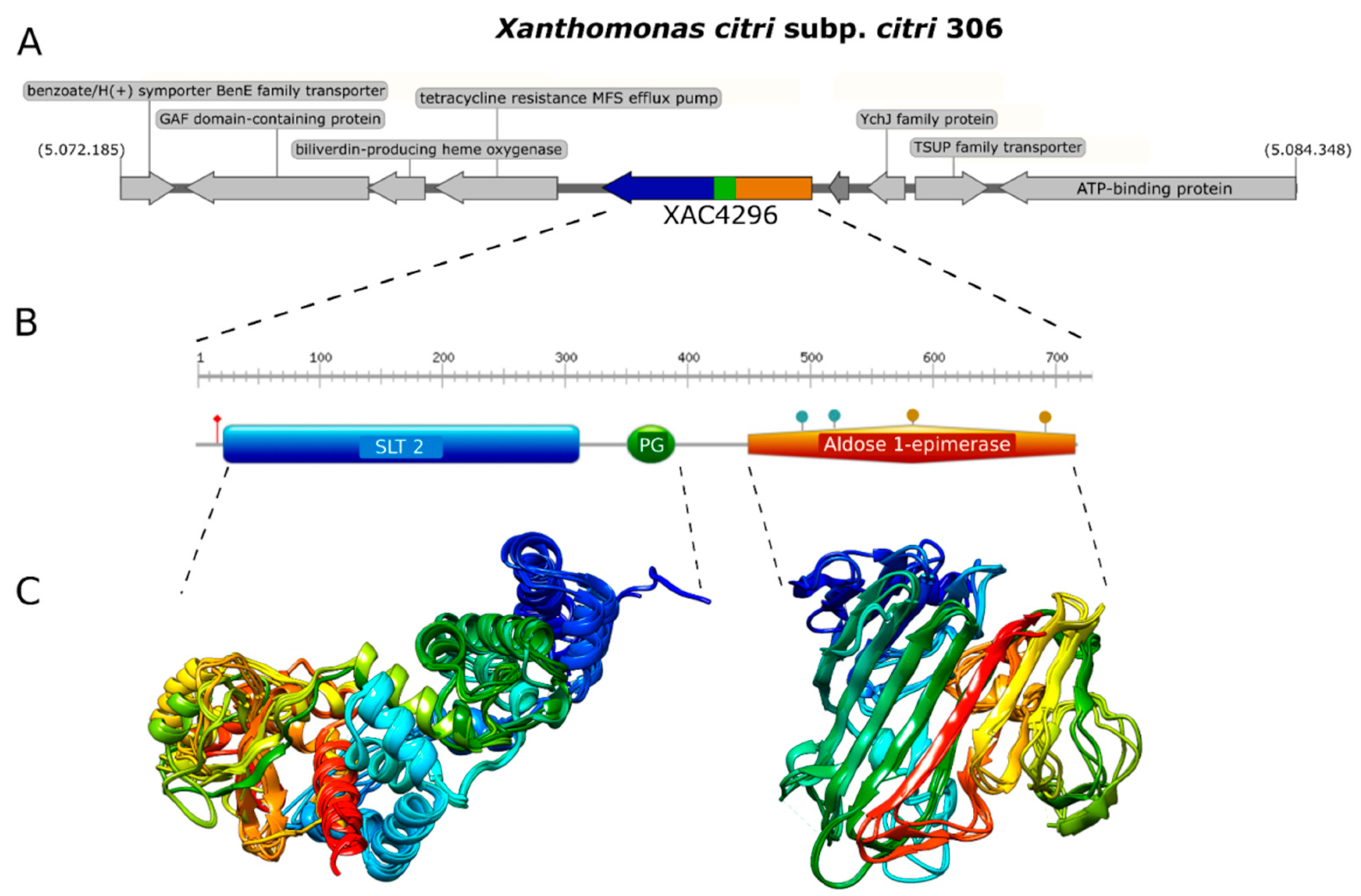 Microorganisms 10 01008 g001