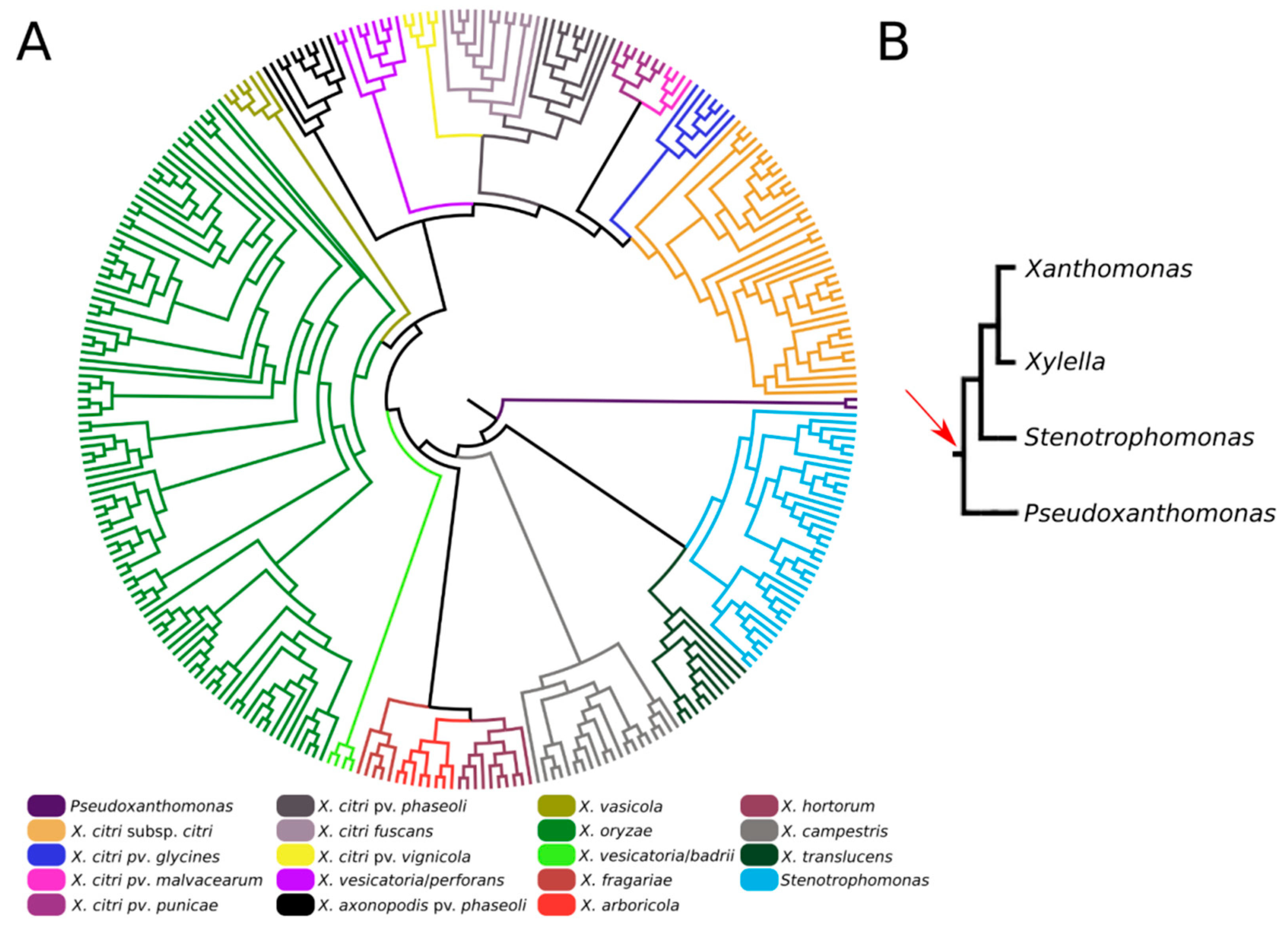 Microorganisms 10 01008 g002