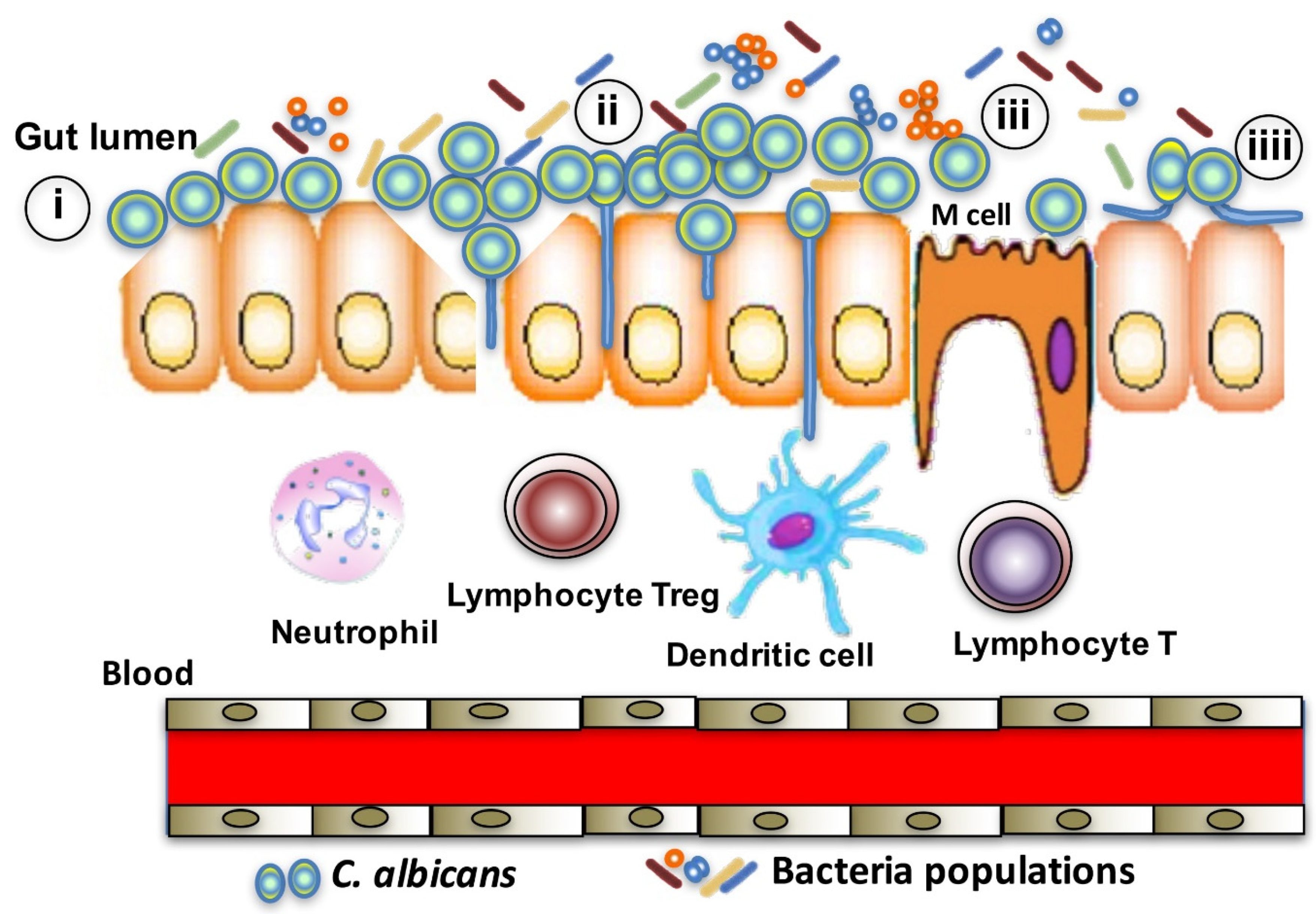 Microorganisms 10 01014 g001