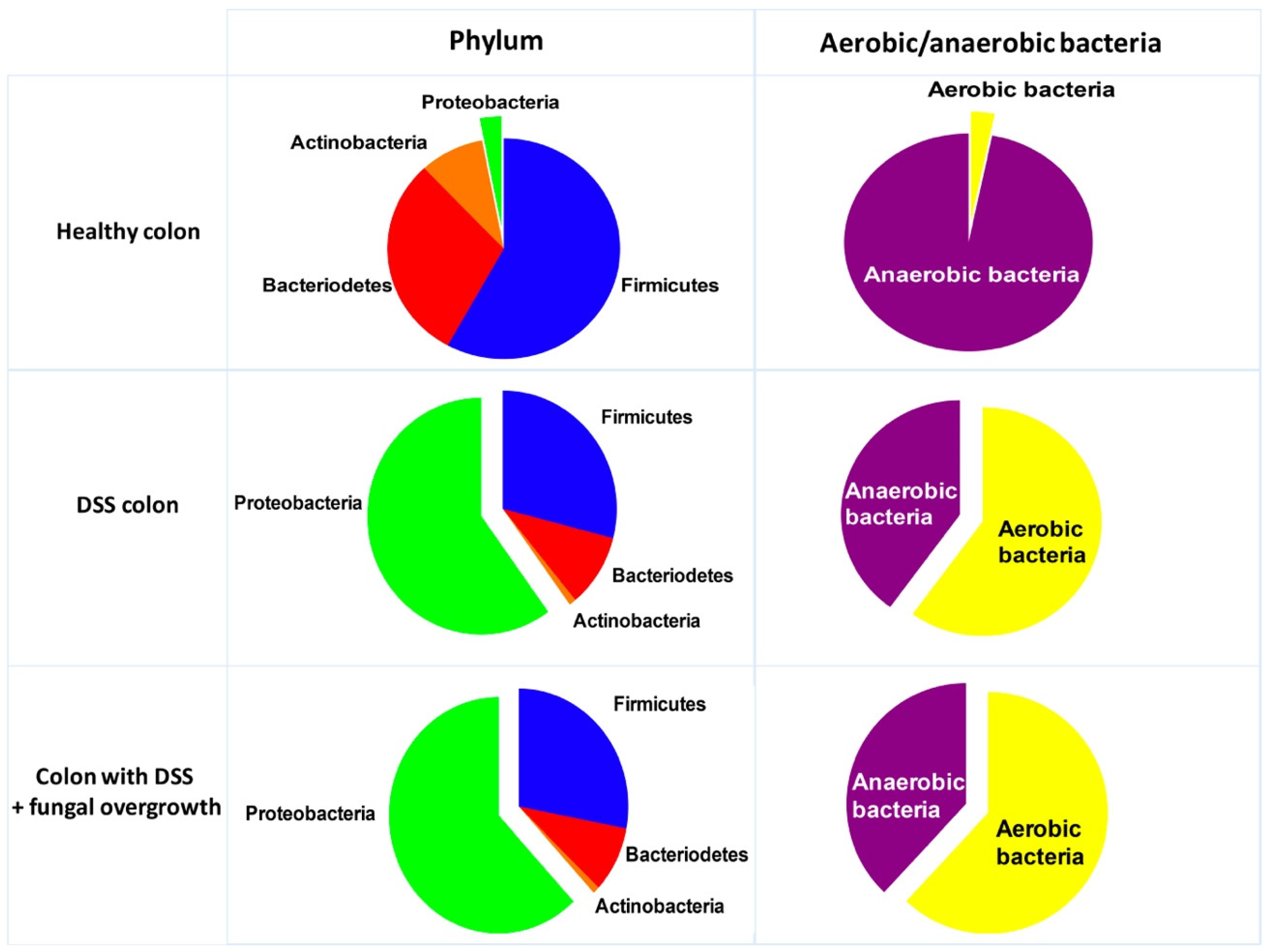 Microorganisms 10 01014 g004