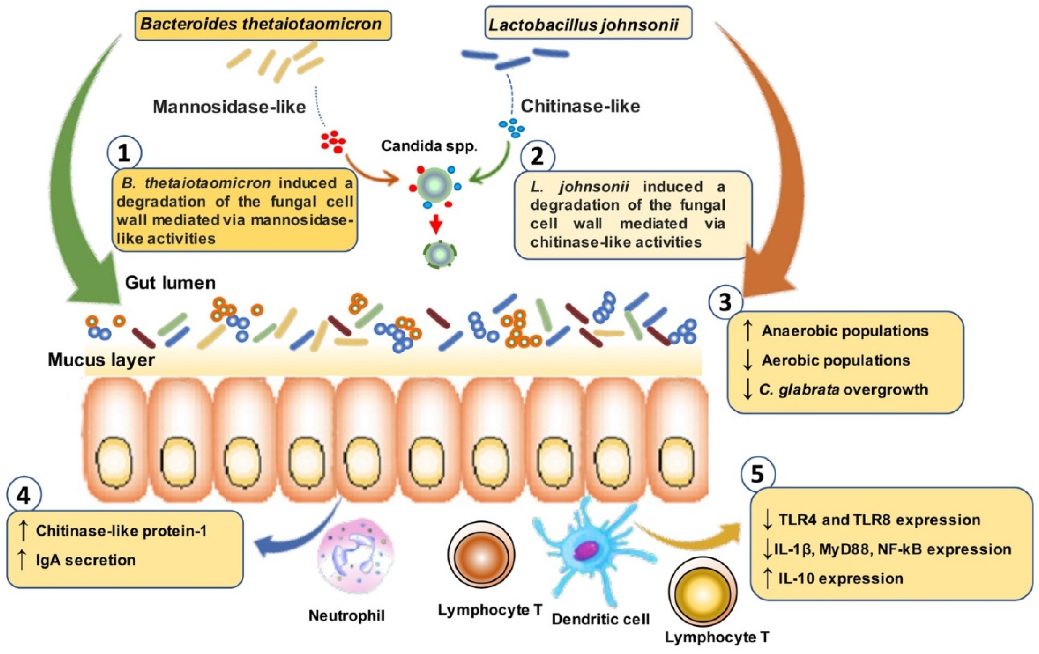 Microorganisms 10 01014 g005