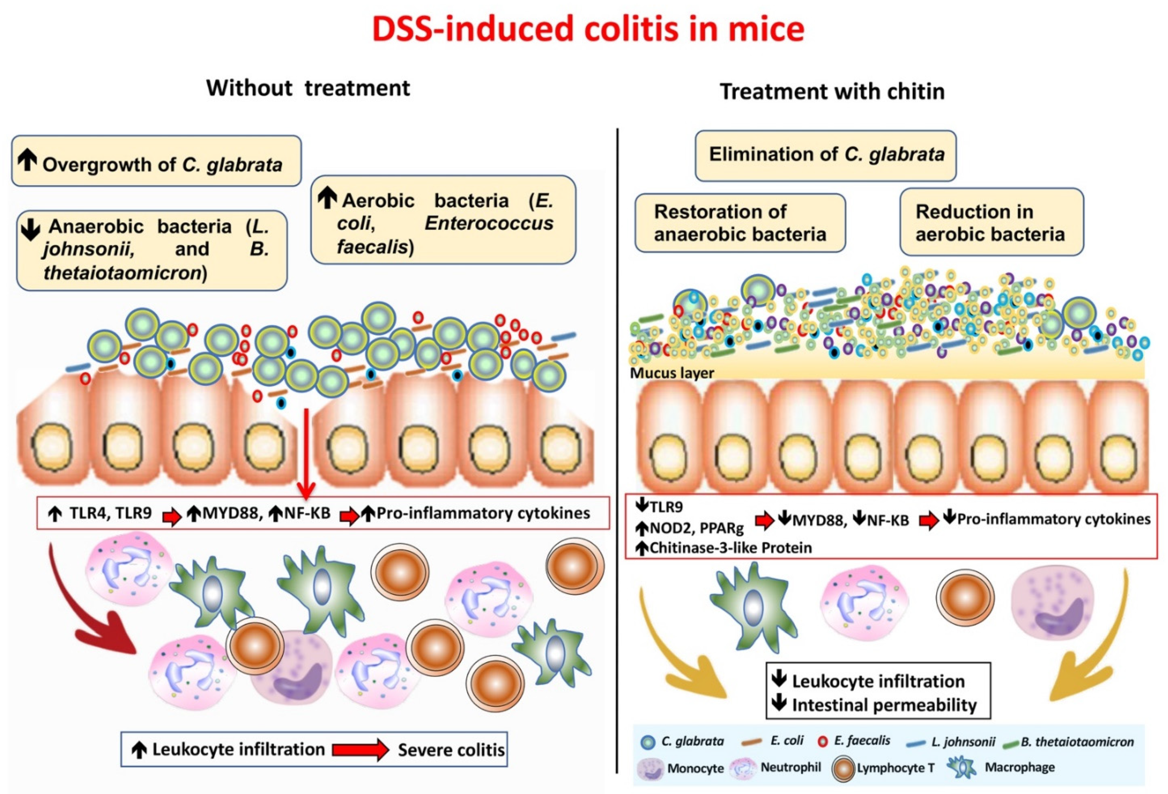 Microorganisms 10 01014 g006