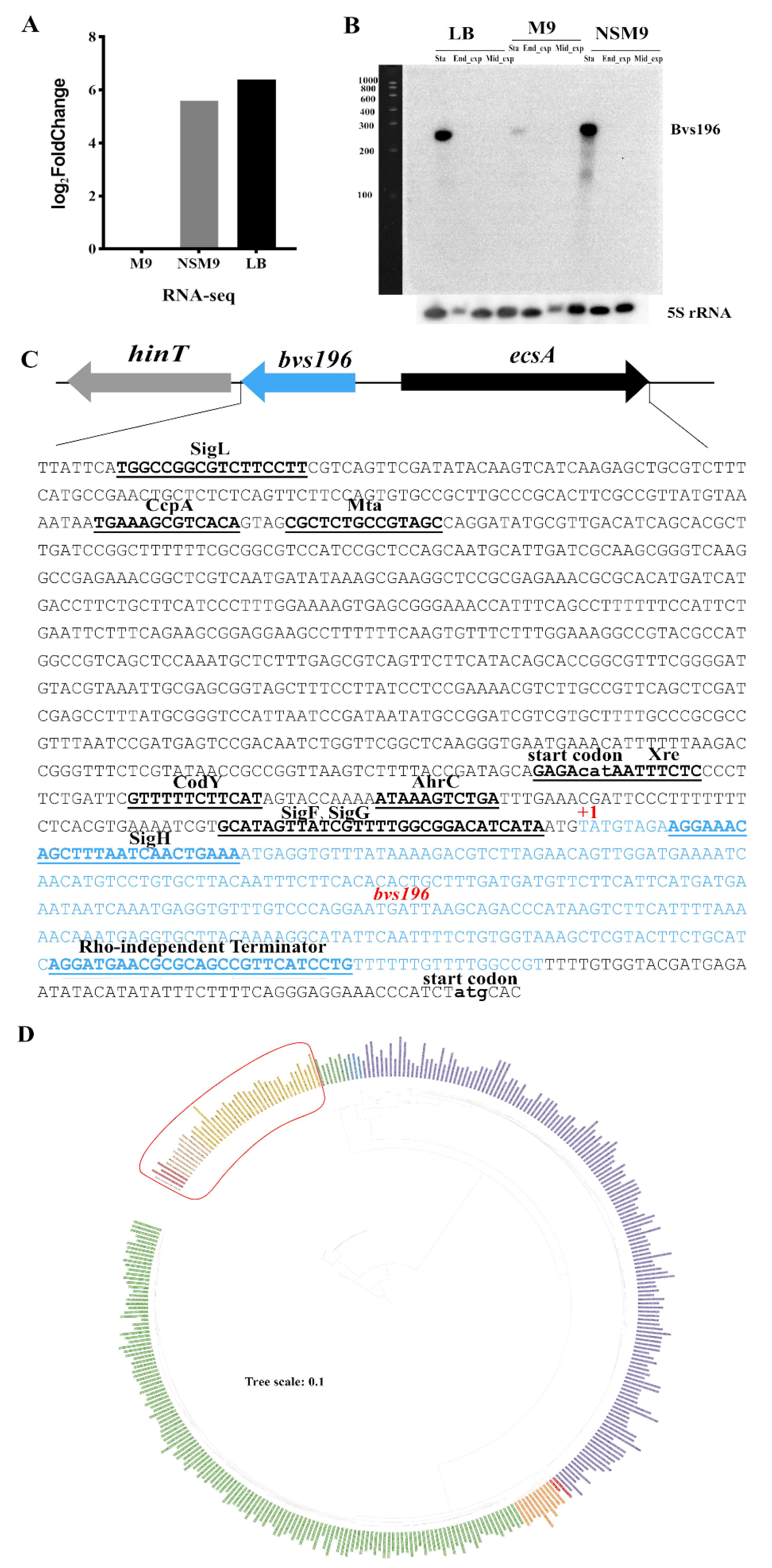 Microorganisms 10 01015 g001