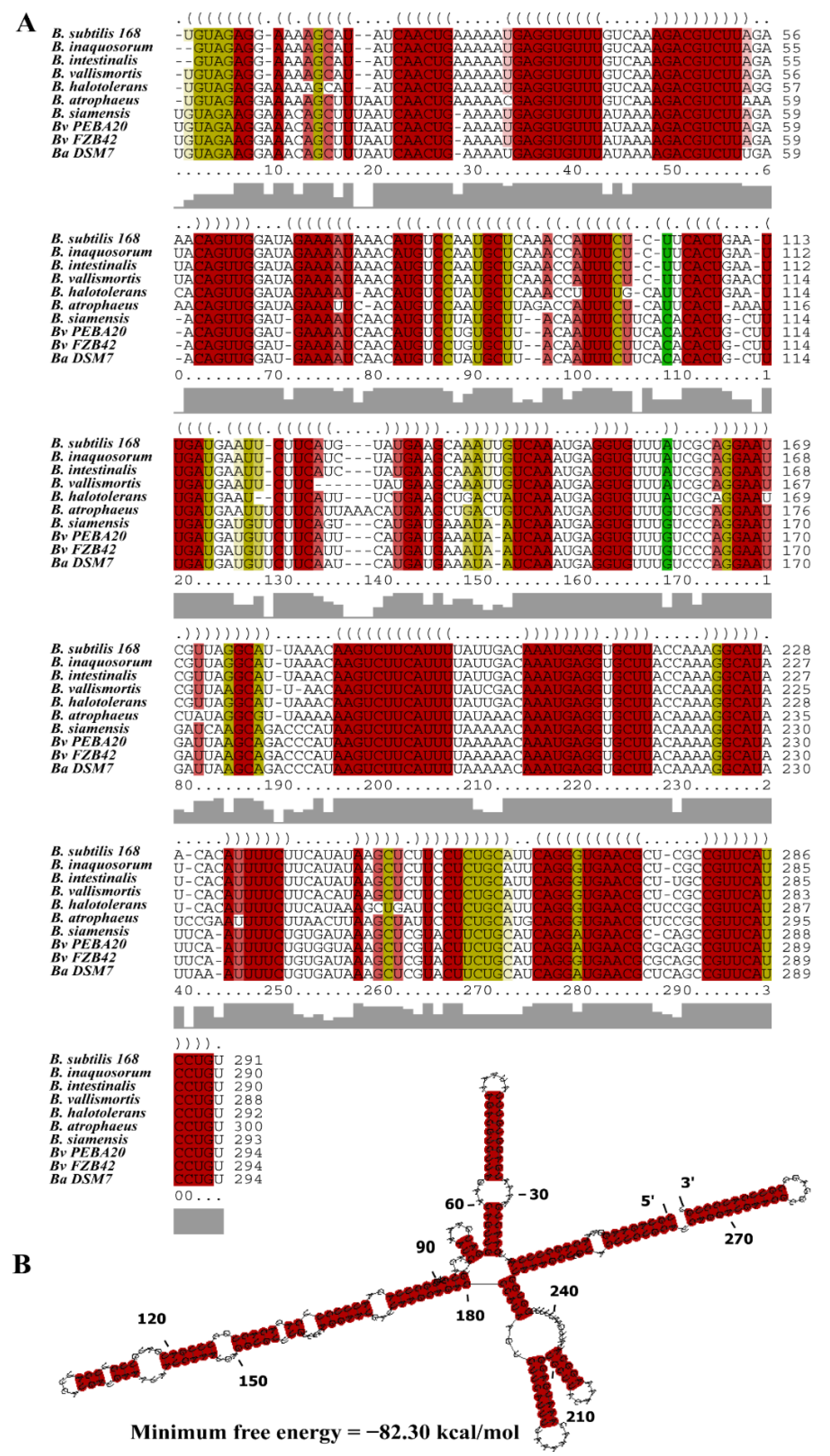 Microorganisms 10 01015 g002