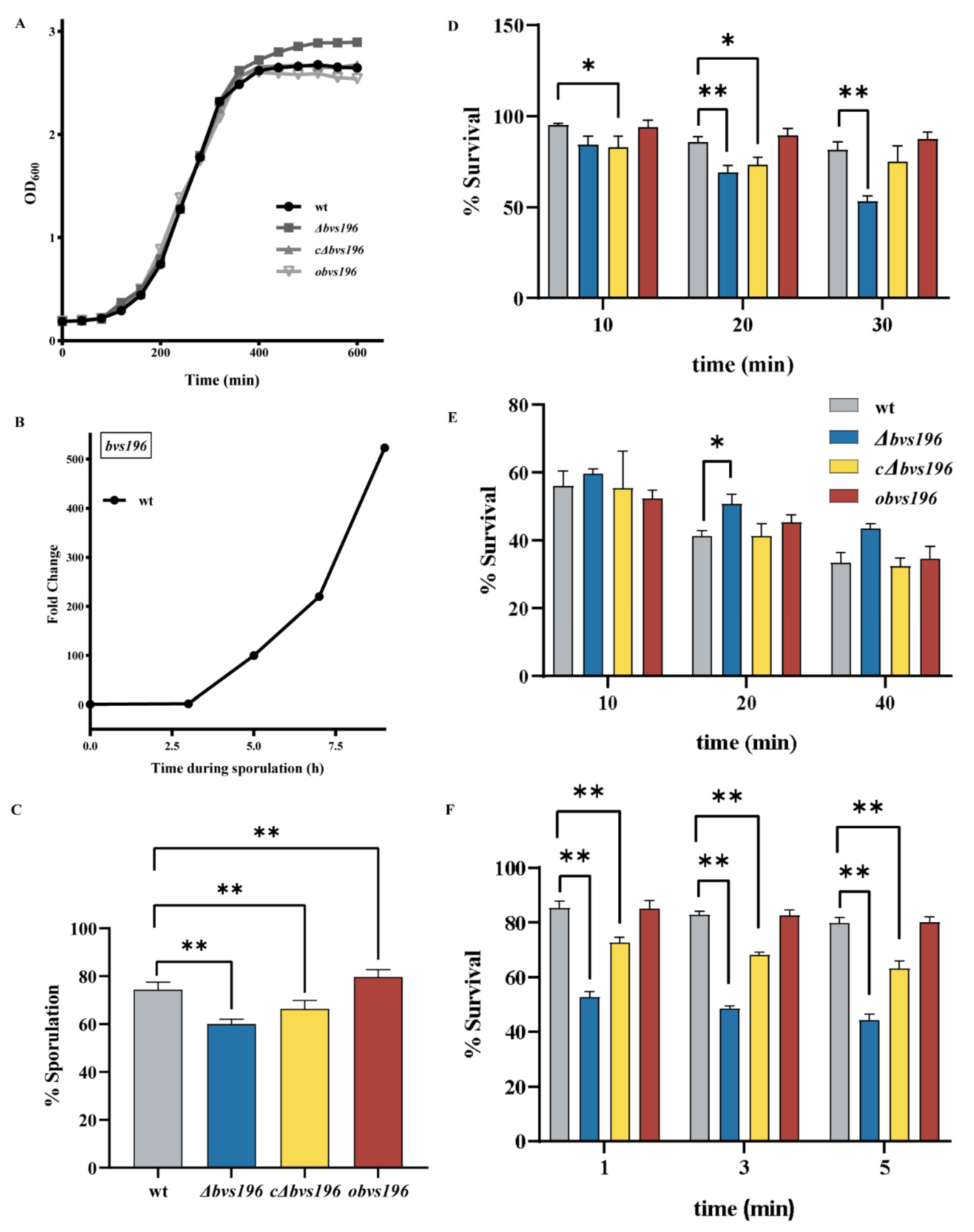 Microorganisms 10 01015 g004
